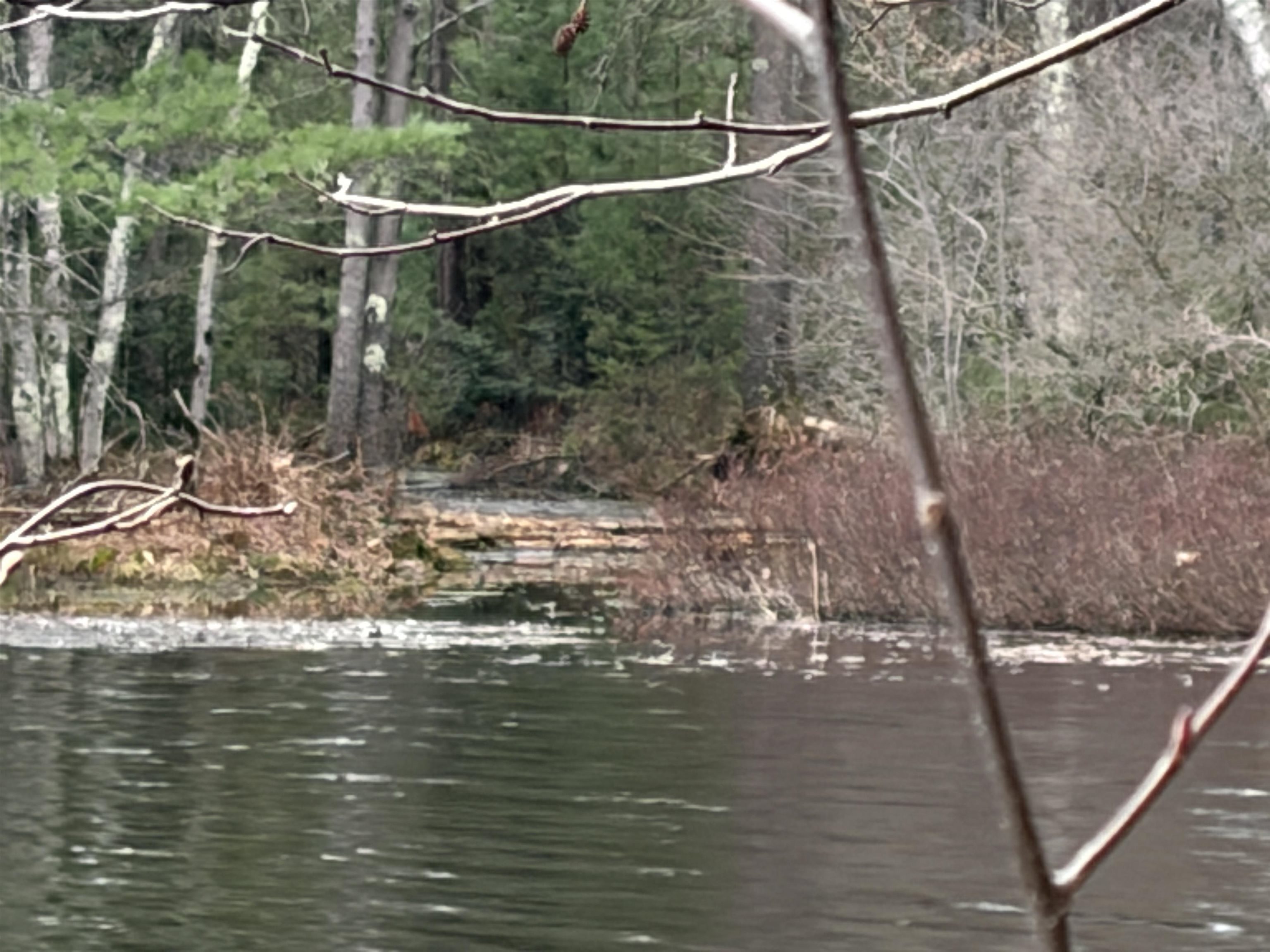 ON WHISPERING PINES DRIVE, Tomahawk, Wisconsin 54487, ,Land,For Sale,ON WHISPERING PINES DRIVE,22601699