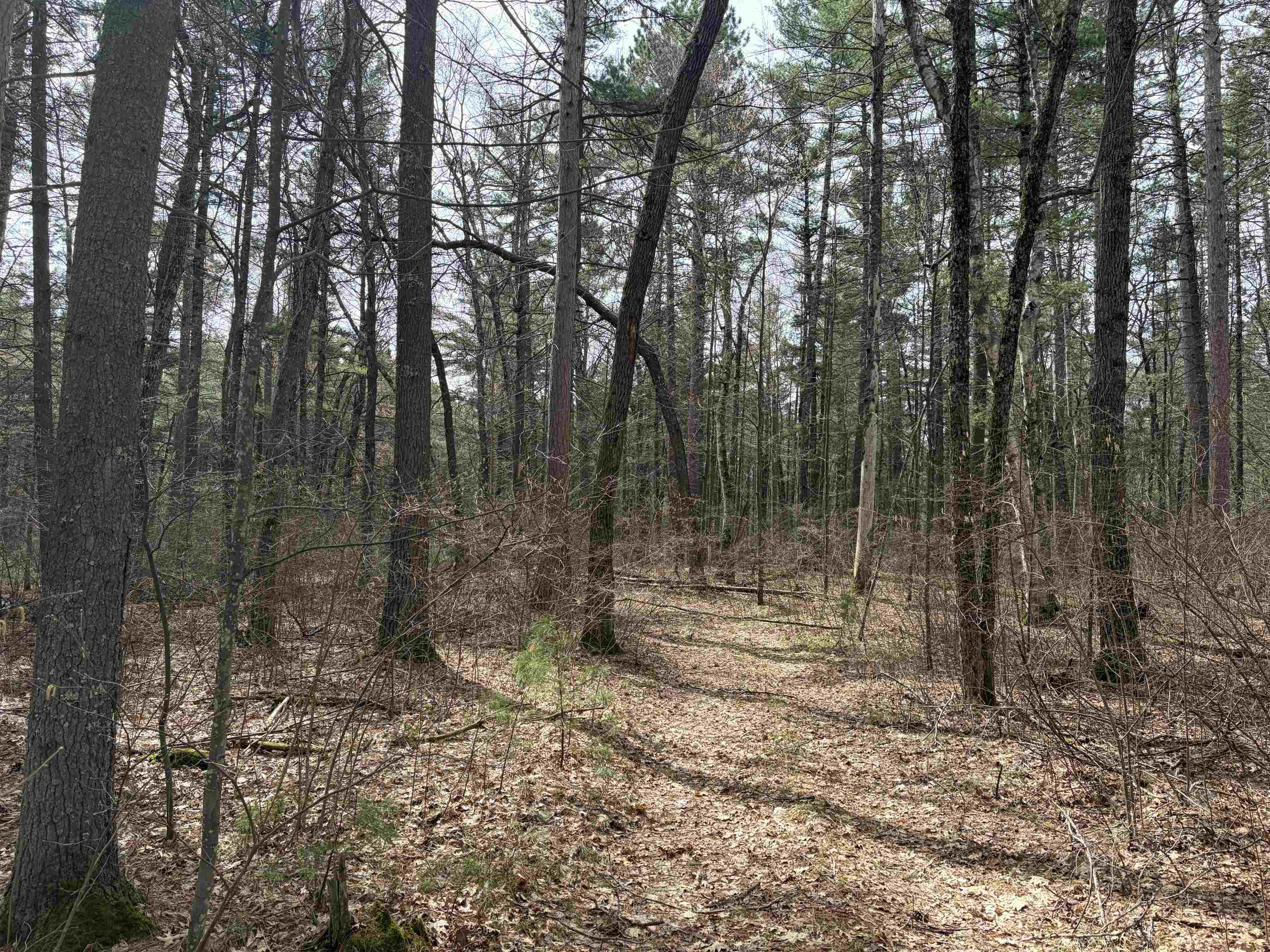 ON WHISPERING PINES DRIVE, Tomahawk, Wisconsin 54487, ,Land,For Sale,ON WHISPERING PINES DRIVE,22601699