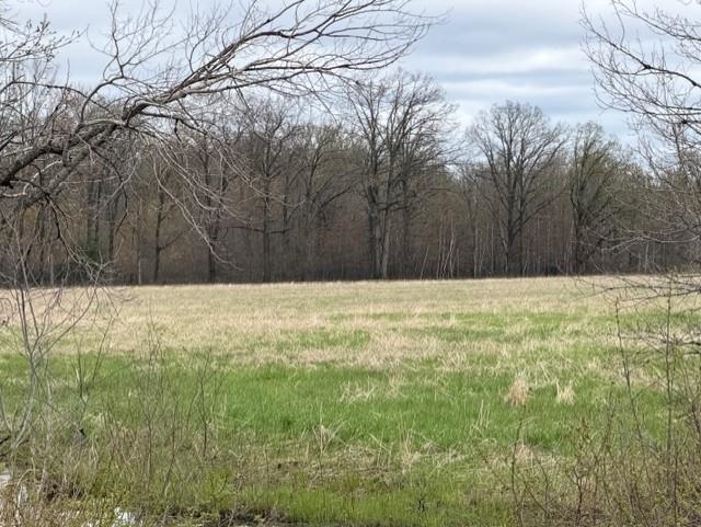 62 Acres STATE HIGHWAY 54, Wisconsin Rapids, Wisconsin 54495, ,Land,For Sale,62 Acres STATE HIGHWAY 54,22601716