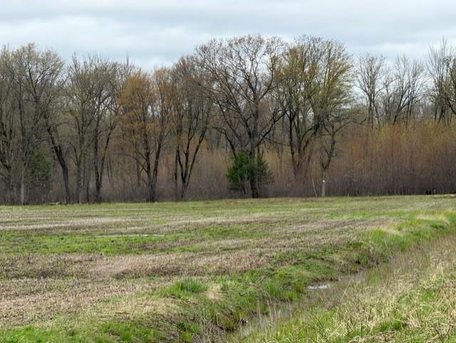 62 Acres STATE HIGHWAY 54, Wisconsin Rapids, Wisconsin 54495, ,Land,For Sale,62 Acres STATE HIGHWAY 54,22601716