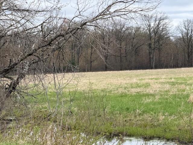 23 Acres STATE HIGHWAY 54, Wisconsin Rapids, Wisconsin 54495, ,Land,For Sale,23 Acres STATE HIGHWAY 54,22601719