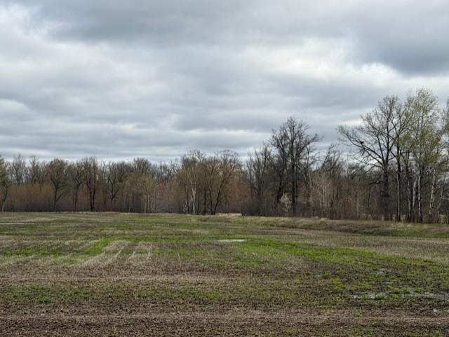 38 Acre STATE HIGHWAY 54, Wisconsin Rapids, Wisconsin 54495, ,Land,For Sale,38 Acre STATE HIGHWAY 54,22601721