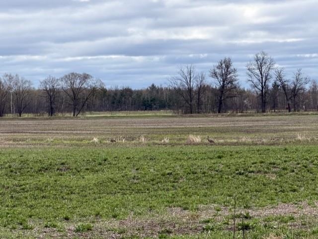 38 Acre STATE HIGHWAY 54, Wisconsin Rapids, Wisconsin 54495, ,Land,For Sale,38 Acre STATE HIGHWAY 54,22601721