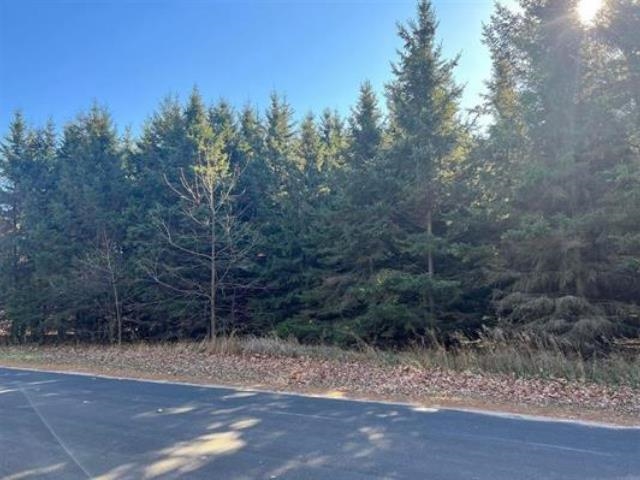 2.19 Acres RIVERVIEW DRIVE, Stevens Point, Wisconsin 54481, ,Land,For Sale,2.19 Acres RIVERVIEW DRIVE,22601732