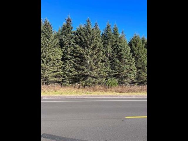 2.19 Acres RIVERVIEW DRIVE, Stevens Point, Wisconsin 54481, ,Land,For Sale,2.19 Acres RIVERVIEW DRIVE,22601732