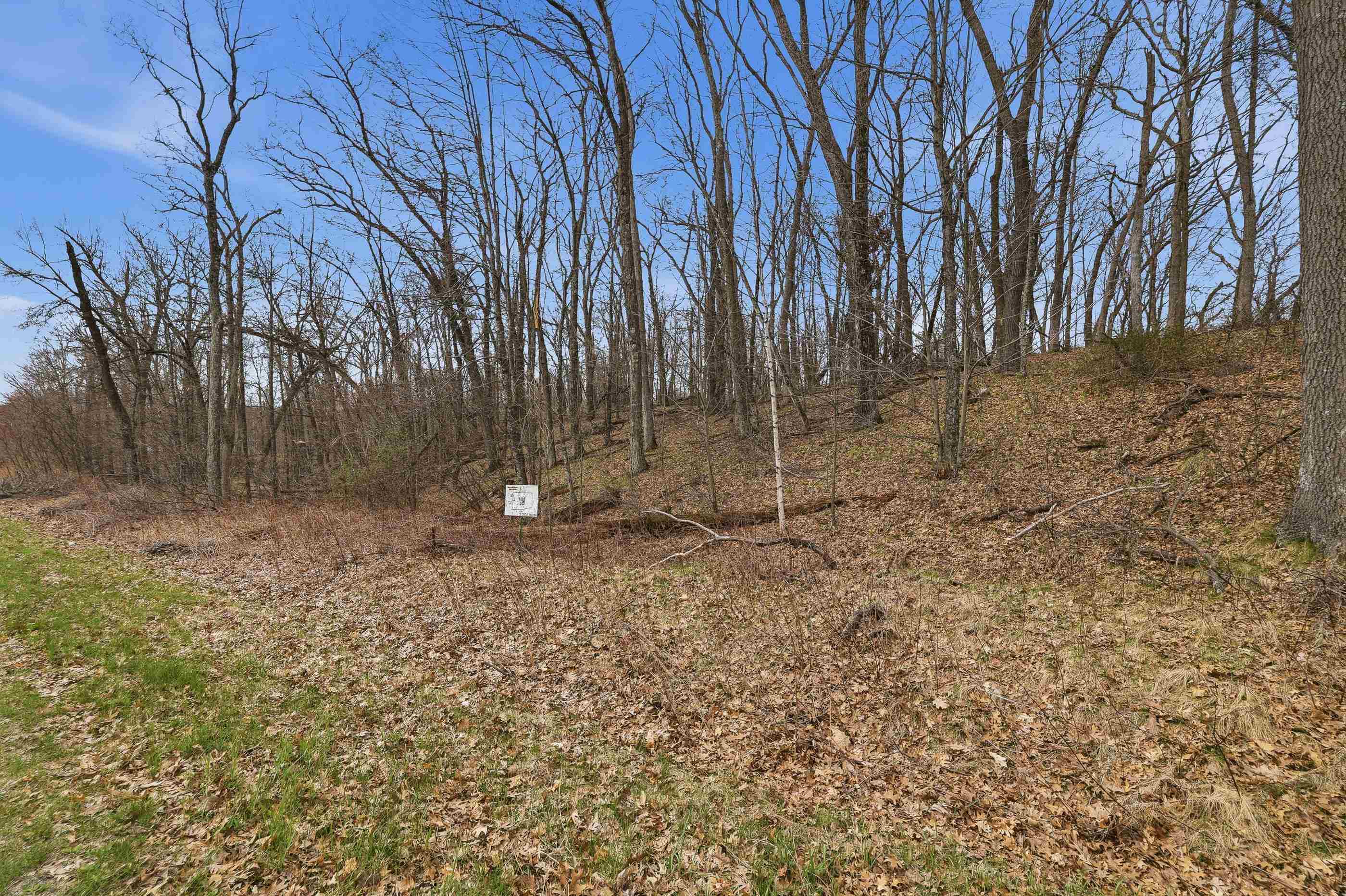 4769 TURKEY TRAIL, Amherst, Wisconsin 54406, ,Land,For Sale,4769 TURKEY TRAIL,22601761