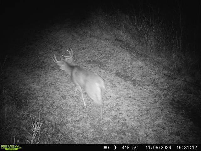 120 Acres MOL STETTIN DRIVE, Wausau, Wisconsin 54401, ,Land,For Sale,120 Acres MOL STETTIN DRIVE,22601766