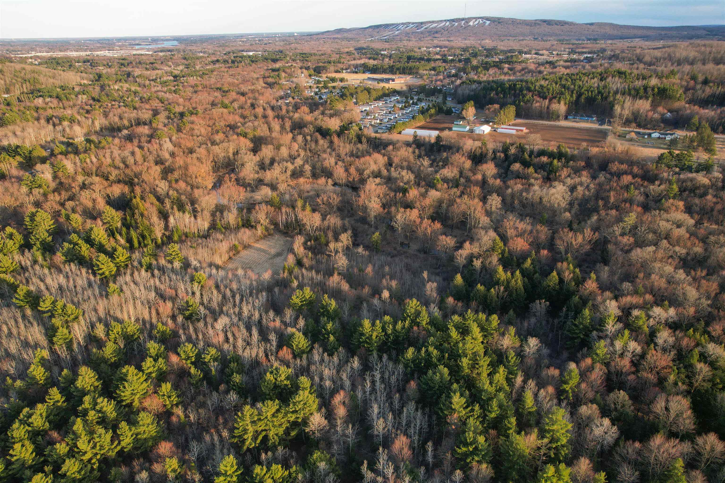 120 Acres MOL STETTIN DRIVE, Wausau, Wisconsin 54401, ,Land,For Sale,120 Acres MOL STETTIN DRIVE,22601766