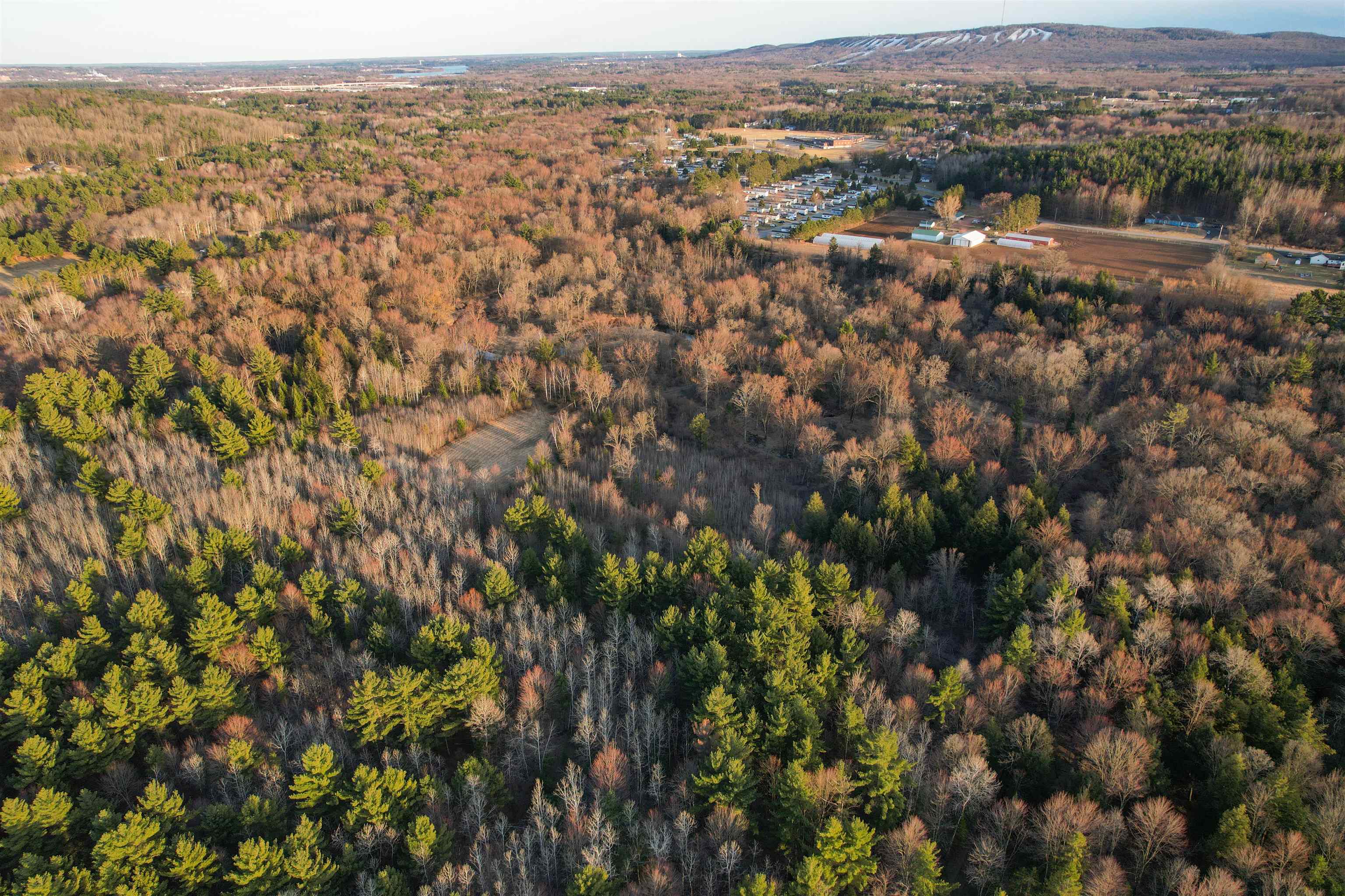 120 Acres MOL STETTIN DRIVE, Wausau, Wisconsin 54401, ,Land,For Sale,120 Acres MOL STETTIN DRIVE,22601766
