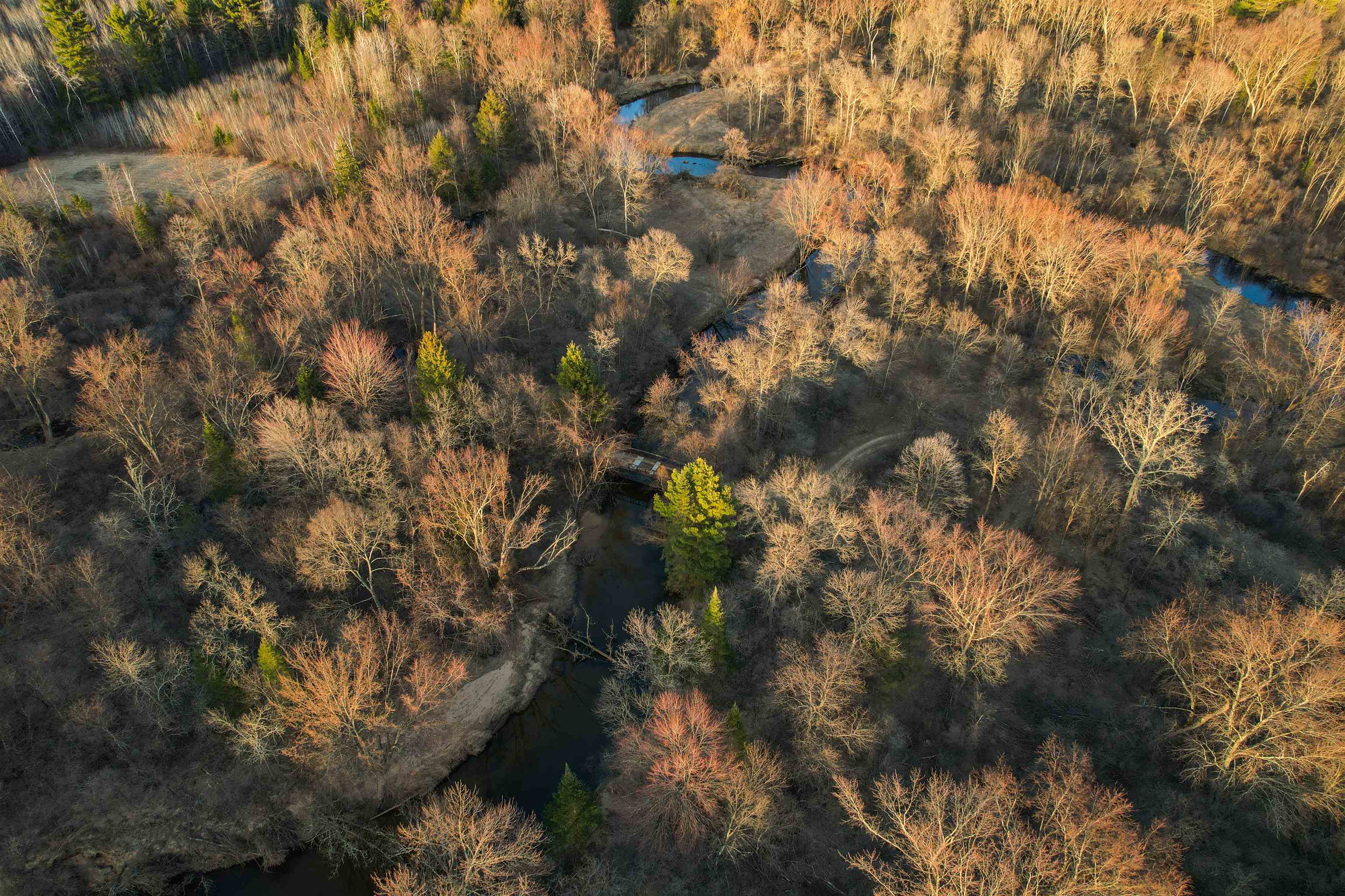 120 Acres MOL STETTIN DRIVE, Wausau, Wisconsin 54401, ,Land,For Sale,120 Acres MOL STETTIN DRIVE,22601766
