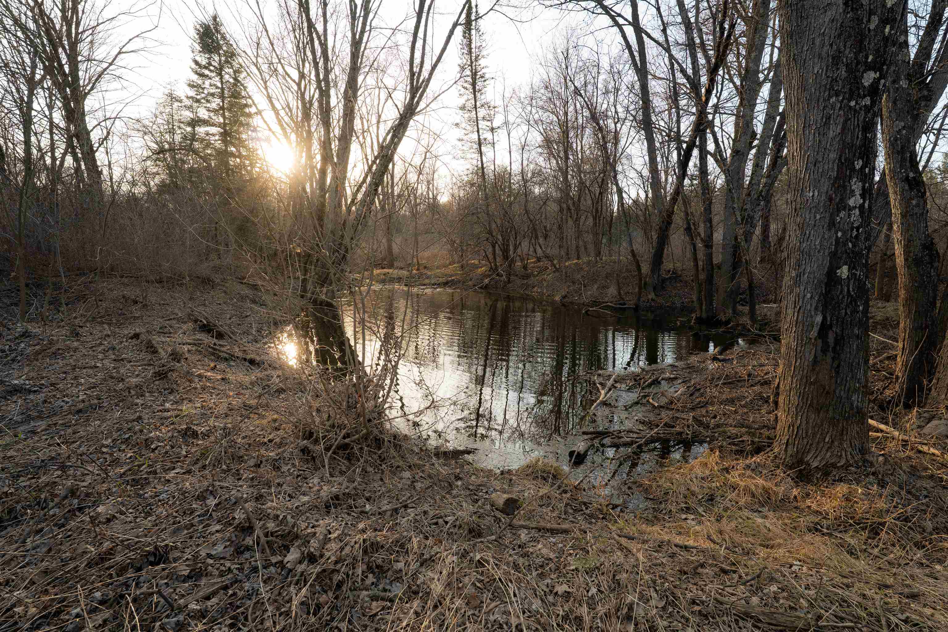 120 Acres MOL STETTIN DRIVE, Wausau, Wisconsin 54401, ,Land,For Sale,120 Acres MOL STETTIN DRIVE,22601766