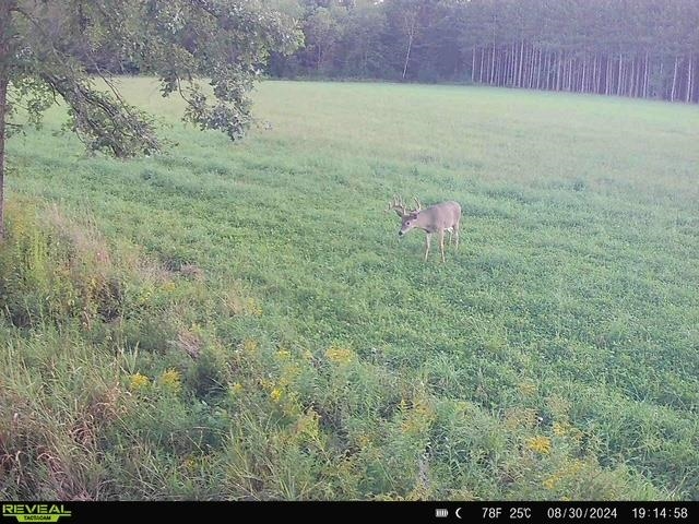 120 Acres MOL STETTIN DRIVE, Wausau, Wisconsin 54401, ,Land,For Sale,120 Acres MOL STETTIN DRIVE,22601766