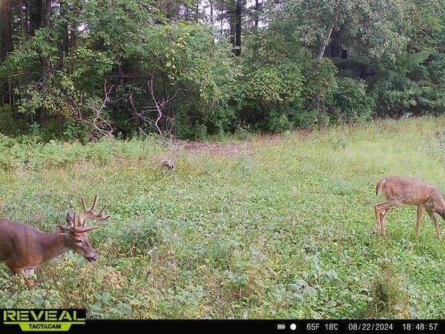 120 Acres MOL STETTIN DRIVE, Wausau, Wisconsin 54401, ,Land,For Sale,120 Acres MOL STETTIN DRIVE,22601766