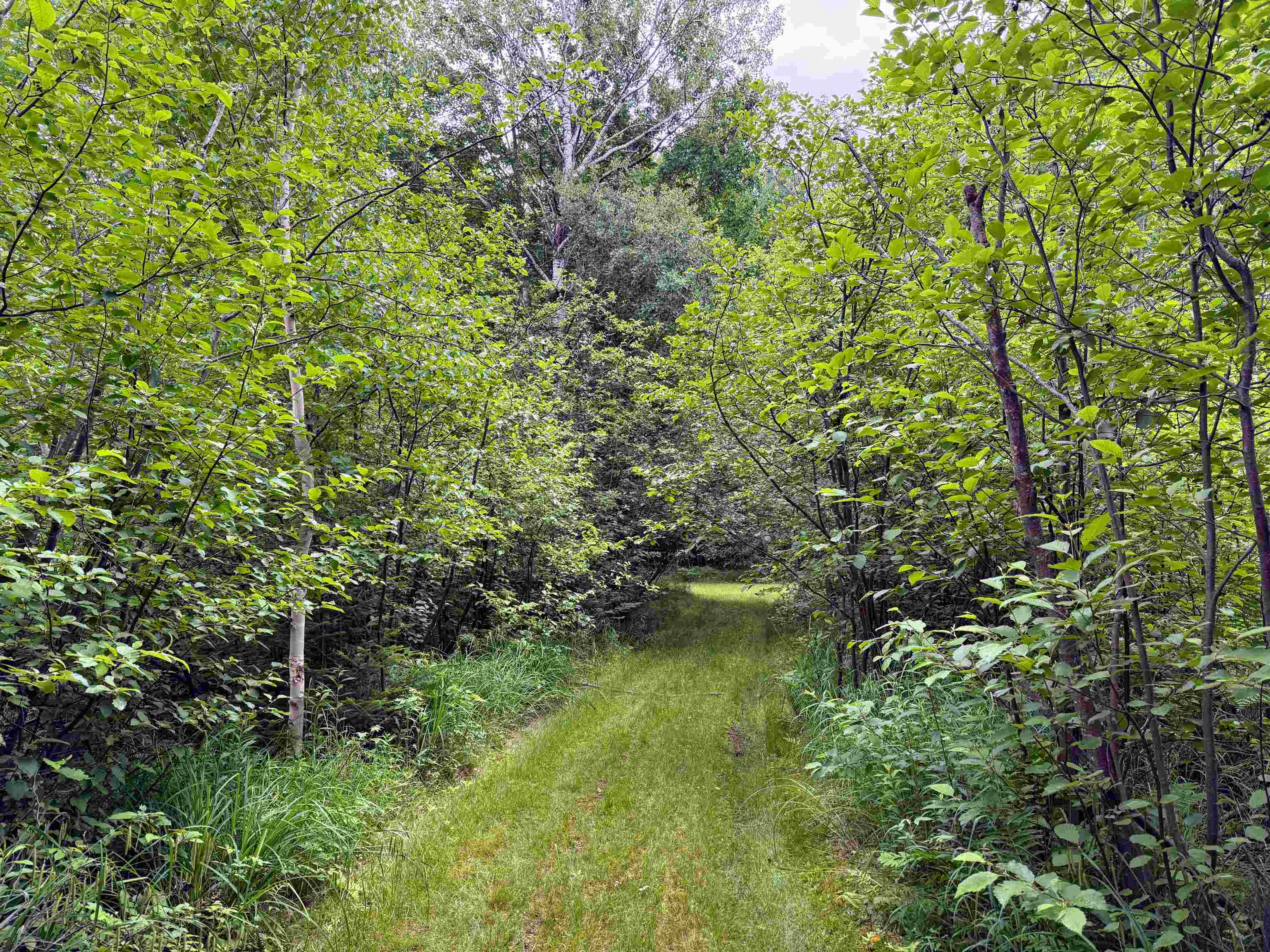 N9078 E SOO LAKE ROAD, Phillips, Wisconsin 54555, ,Land,For Sale,N9078 E SOO LAKE ROAD,22601767