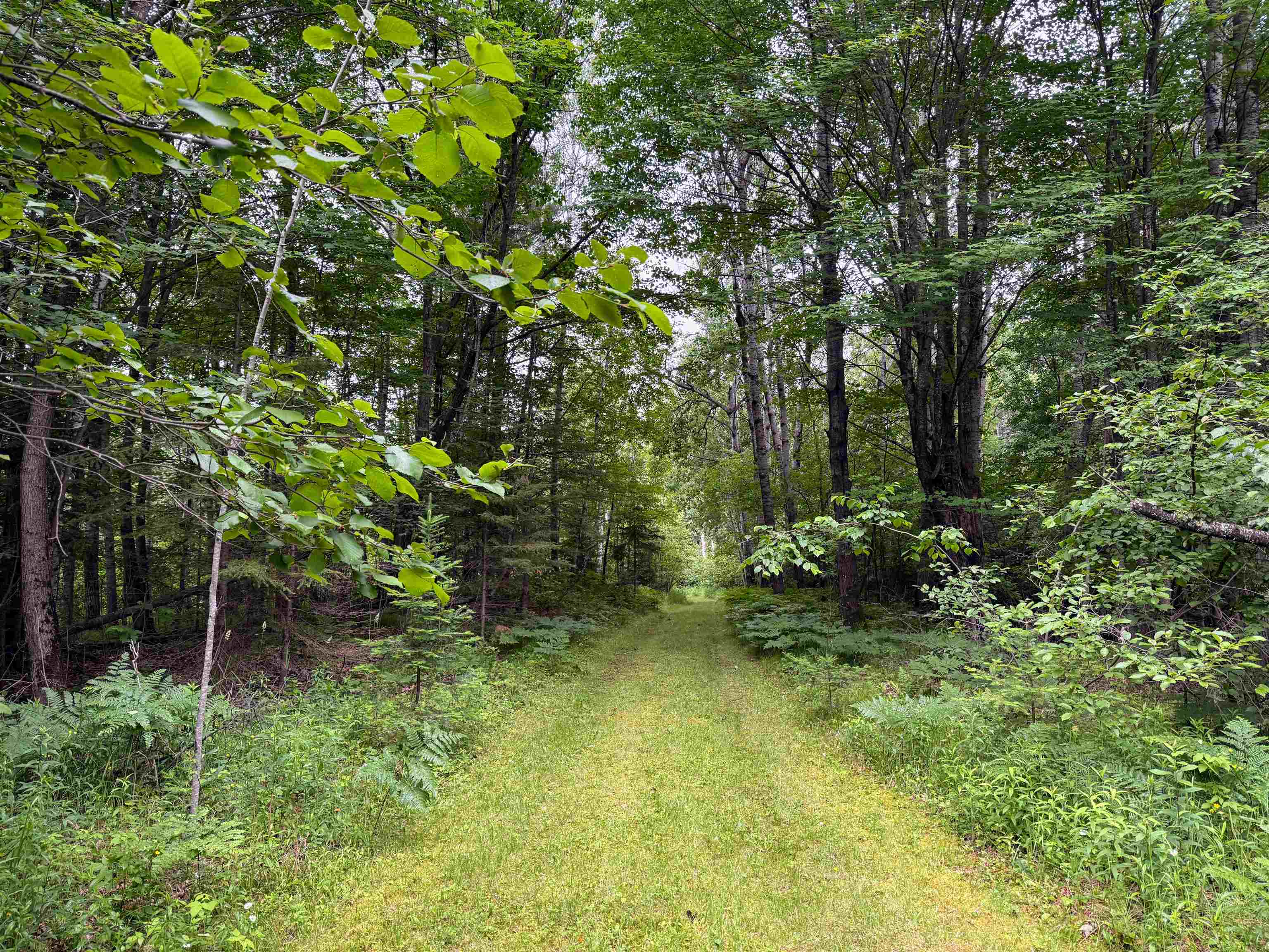 N9078 E SOO LAKE ROAD, Phillips, Wisconsin 54555, ,Land,For Sale,N9078 E SOO LAKE ROAD,22601767