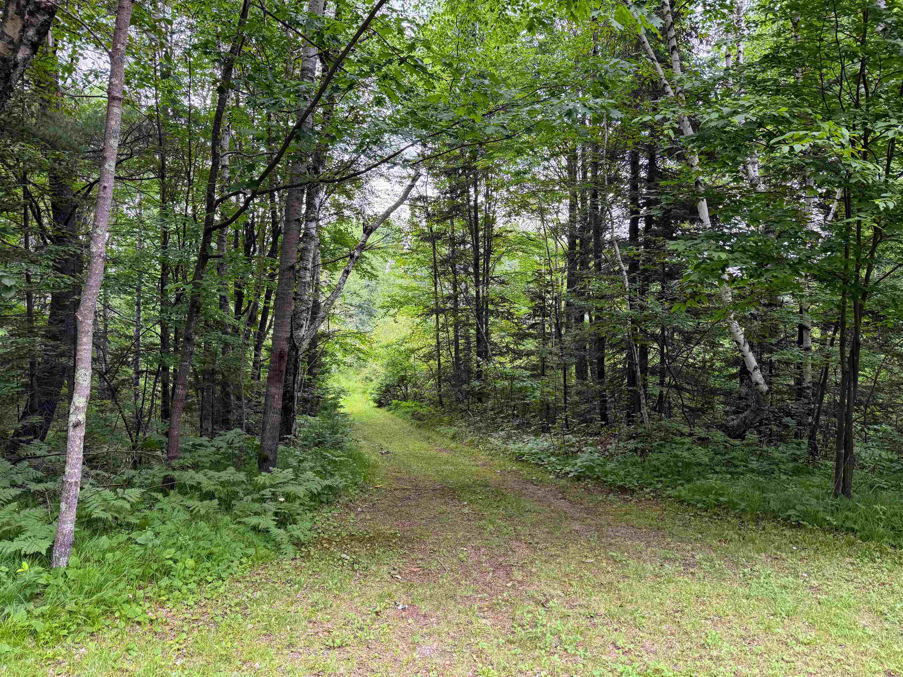 N9078 E SOO LAKE ROAD, Phillips, Wisconsin 54555, ,Land,For Sale,N9078 E SOO LAKE ROAD,22601767