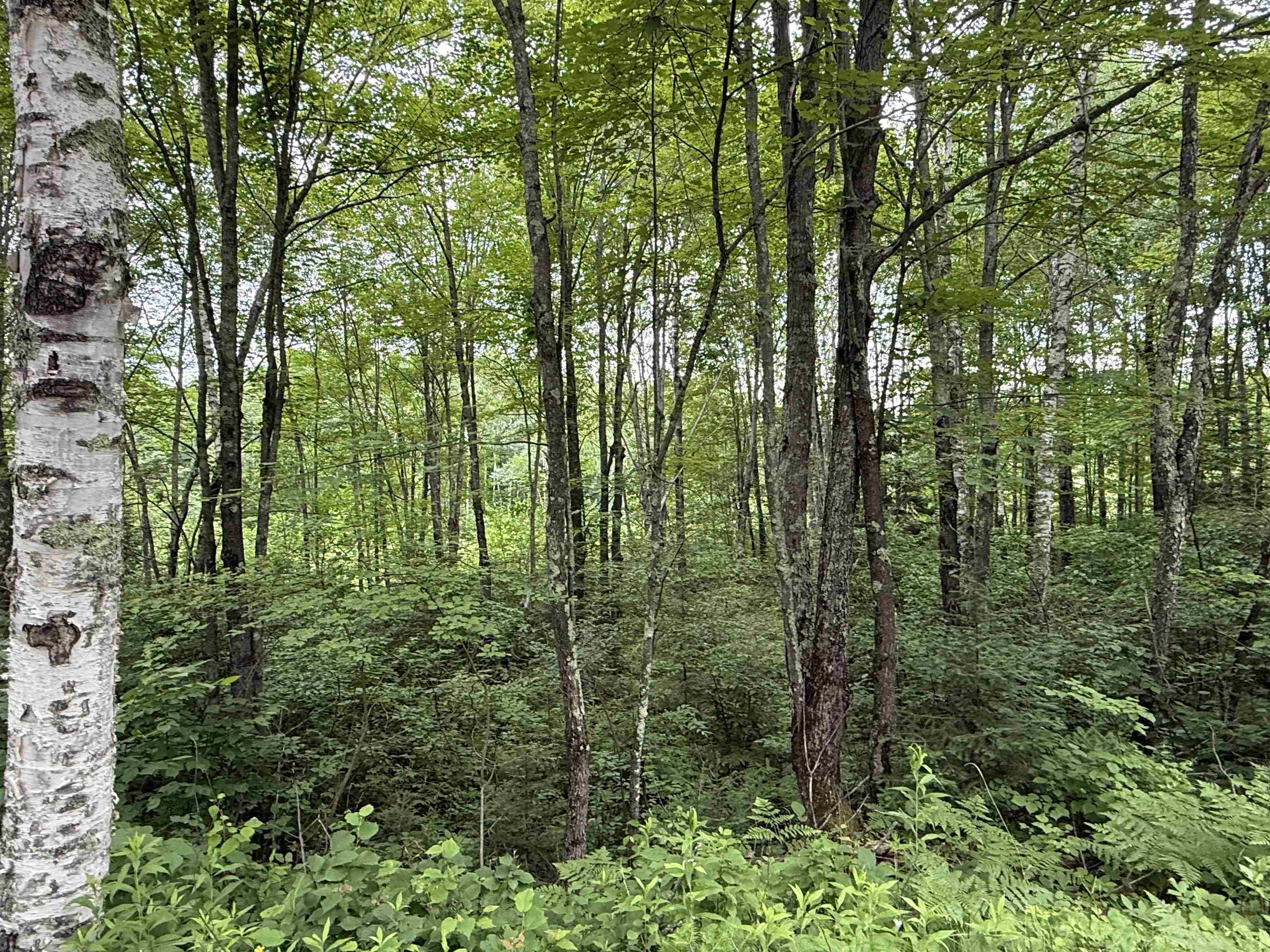 N9078 E SOO LAKE ROAD, Phillips, Wisconsin 54555, ,Land,For Sale,N9078 E SOO LAKE ROAD,22601767