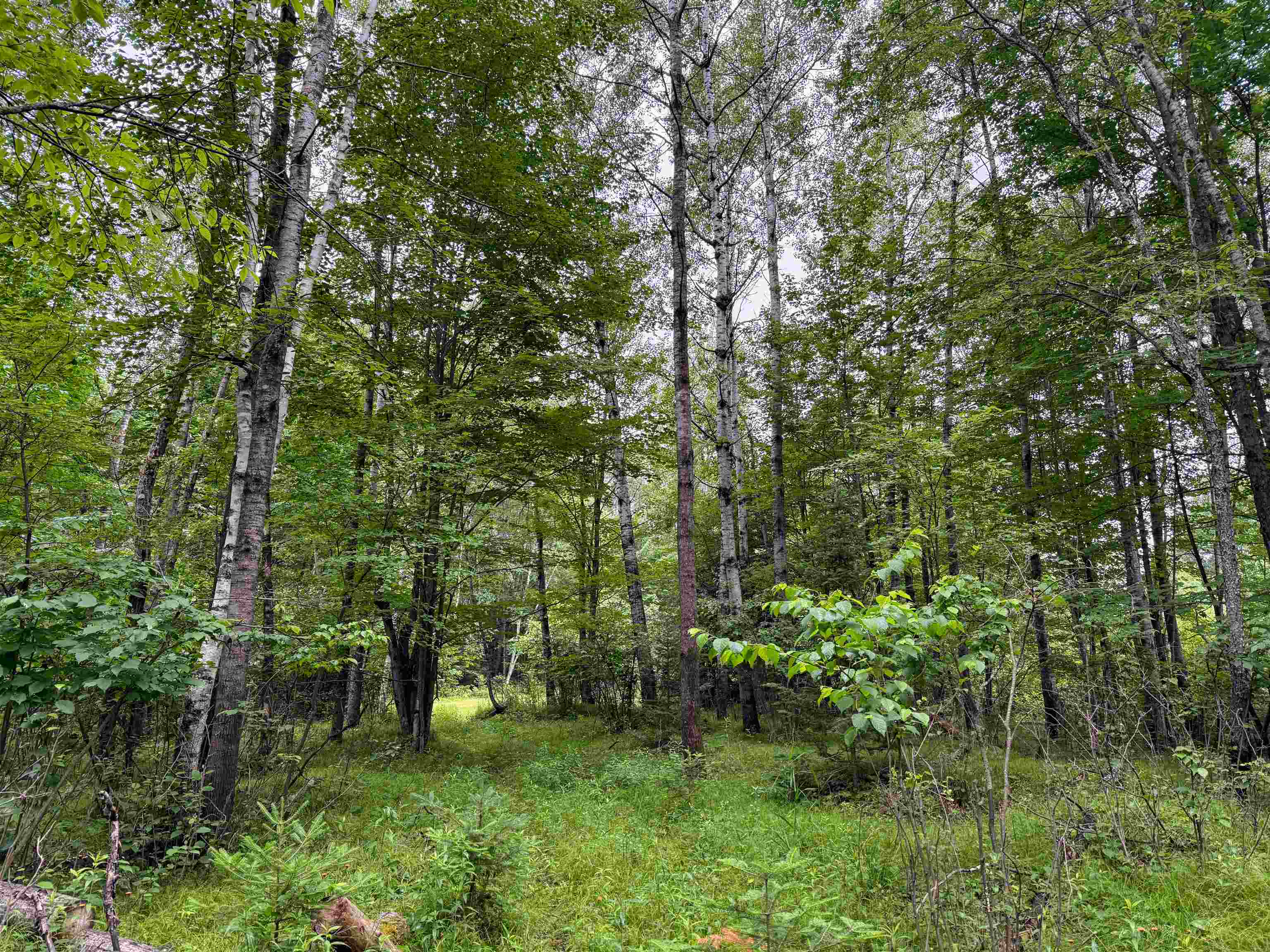 4.39 Ac On E SOO LAKE ROAD, Phillips, Wisconsin 54555, ,Land,For Sale,4.39 Ac On E SOO LAKE ROAD,22601769