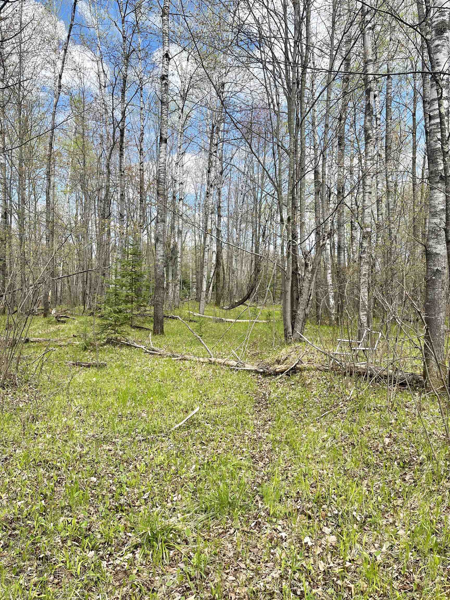 4.39 Ac On E SOO LAKE ROAD, Phillips, Wisconsin 54555, ,Land,For Sale,4.39 Ac On E SOO LAKE ROAD,22601769