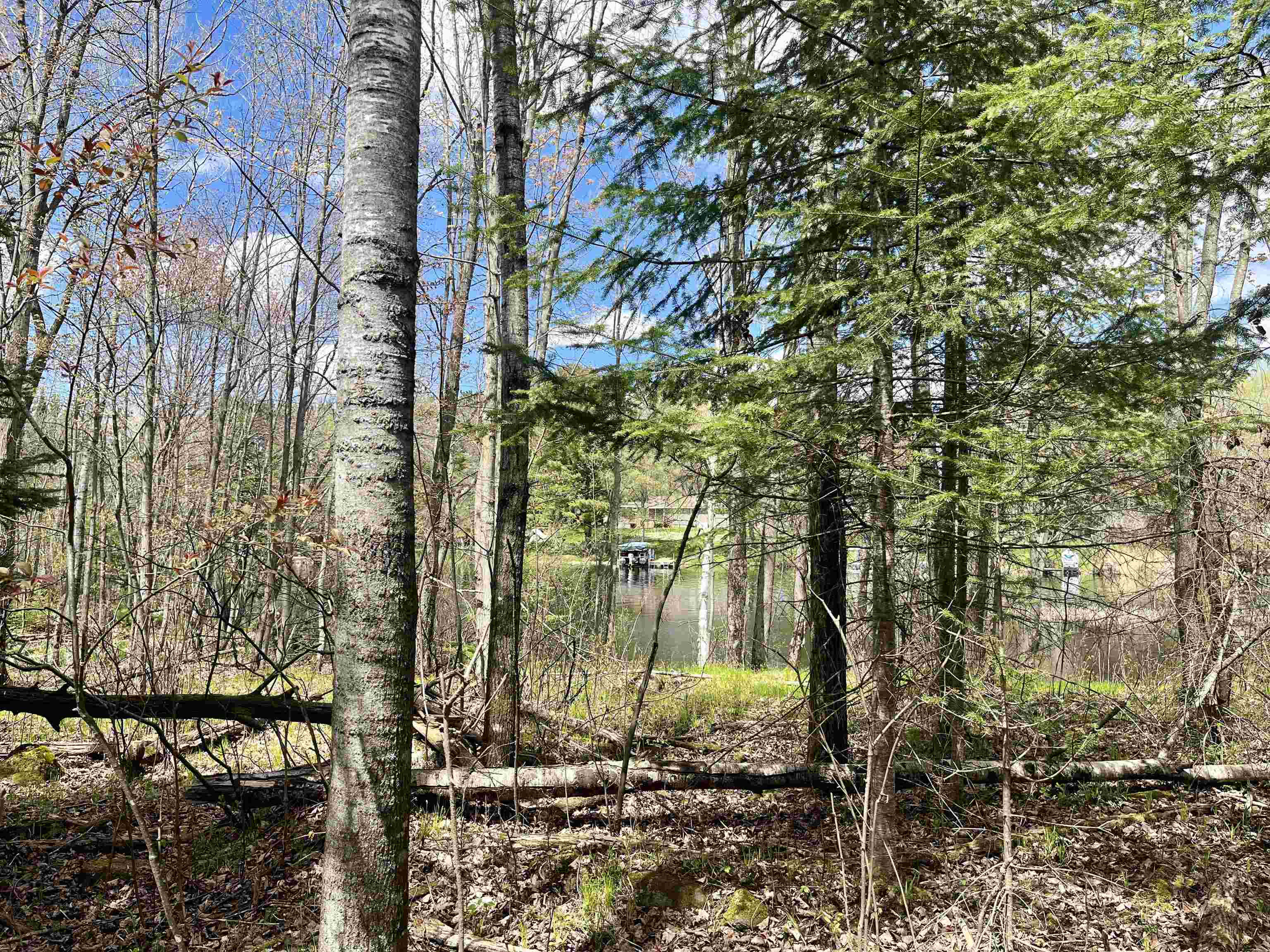 4.39 Ac On E SOO LAKE ROAD, Phillips, Wisconsin 54555, ,Land,For Sale,4.39 Ac On E SOO LAKE ROAD,22601769