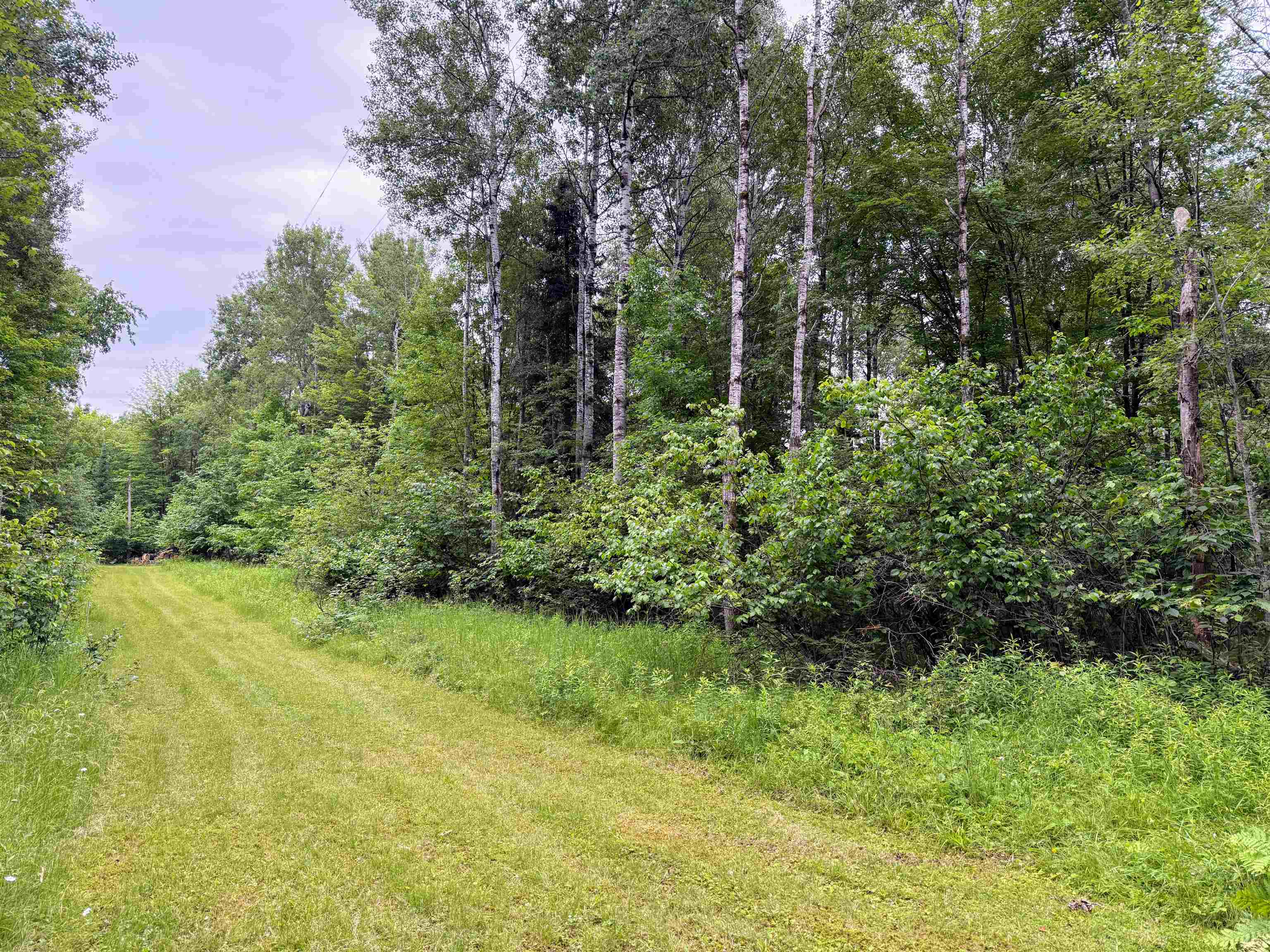 4.39 Ac On E SOO LAKE ROAD, Phillips, Wisconsin 54555, ,Land,For Sale,4.39 Ac On E SOO LAKE ROAD,22601769