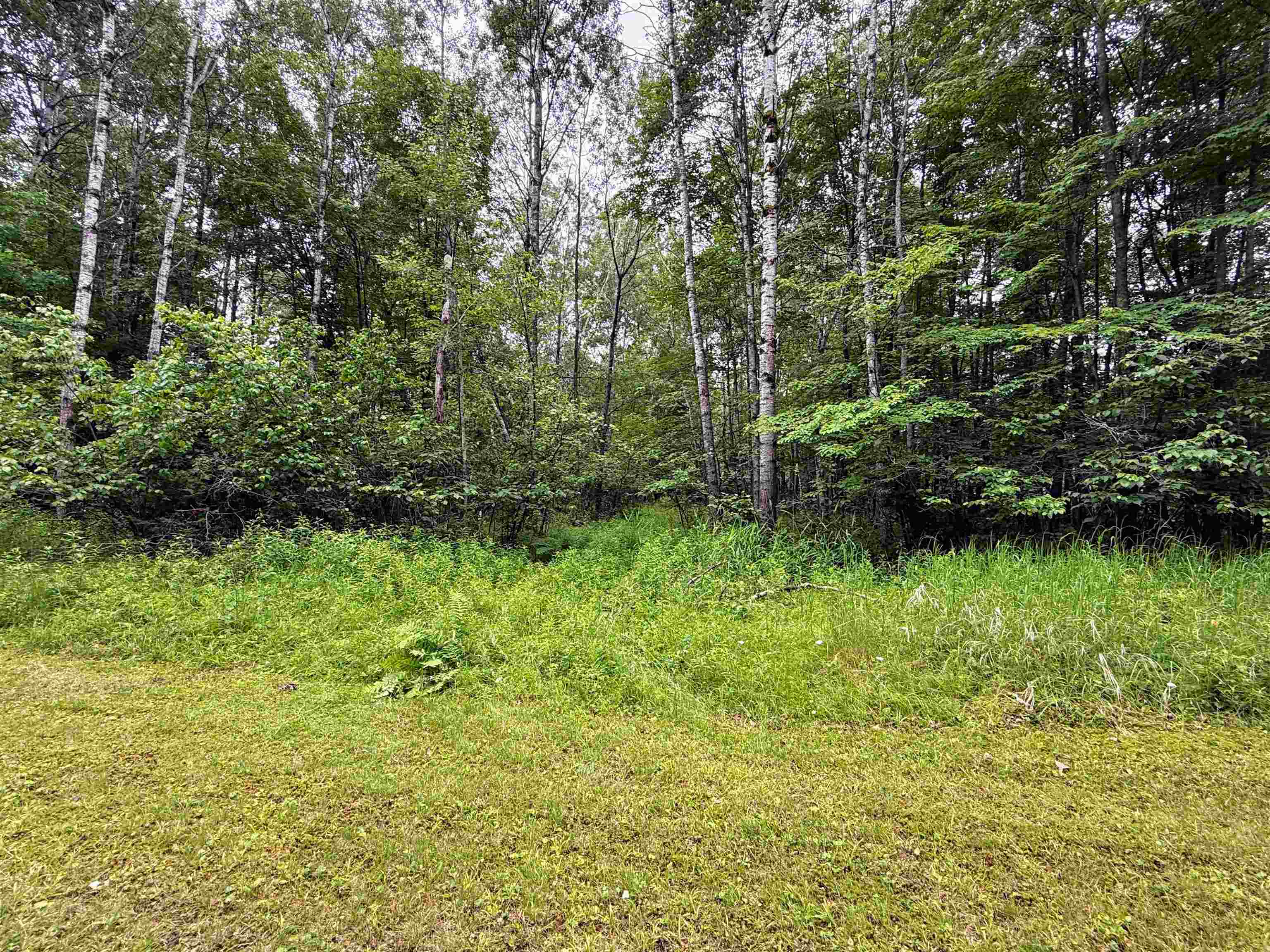 4.39 Ac On E SOO LAKE ROAD, Phillips, Wisconsin 54555, ,Land,For Sale,4.39 Ac On E SOO LAKE ROAD,22601769