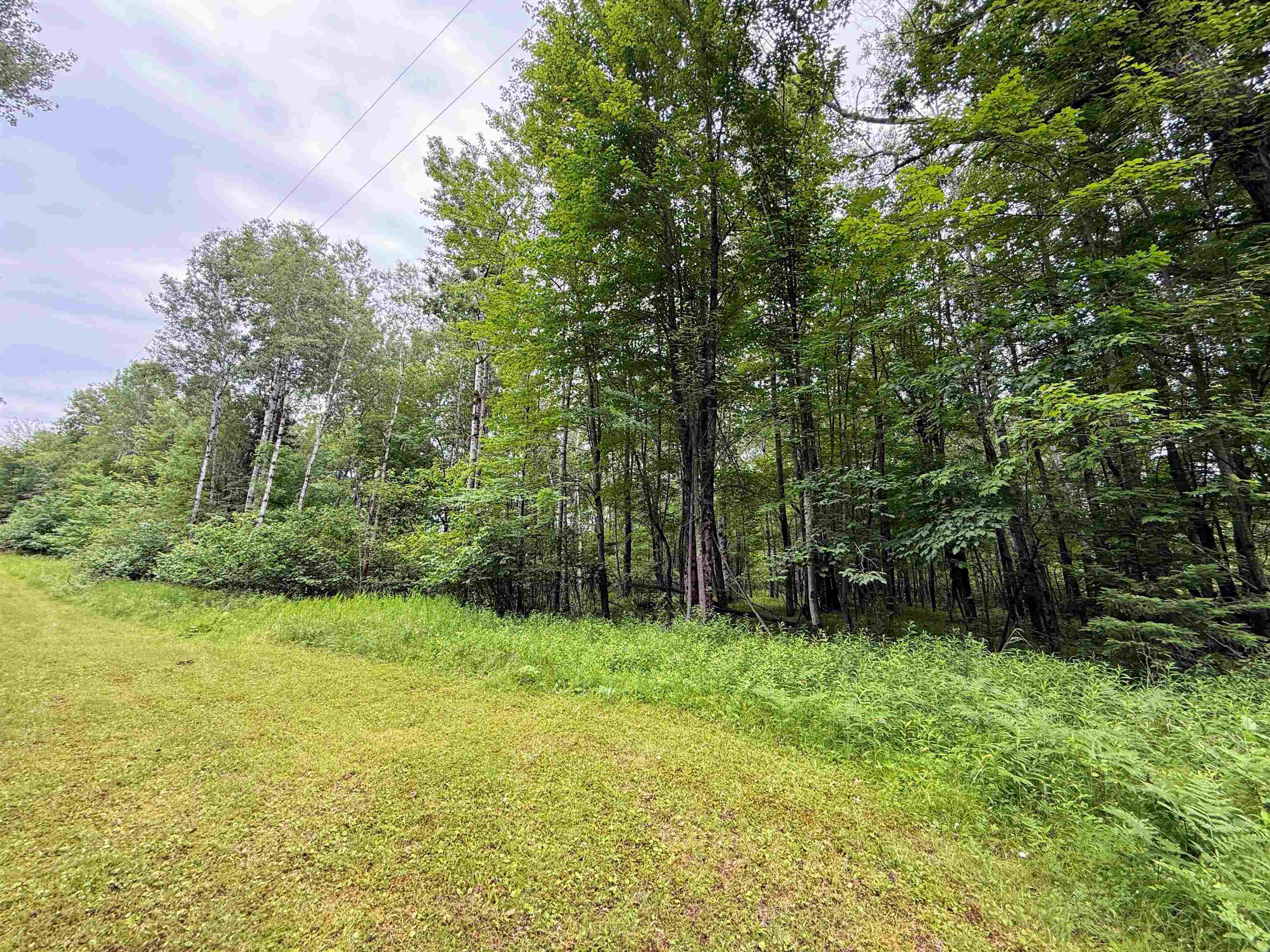 4.39 Ac On E SOO LAKE ROAD, Phillips, Wisconsin 54555, ,Land,For Sale,4.39 Ac On E SOO LAKE ROAD,22601769