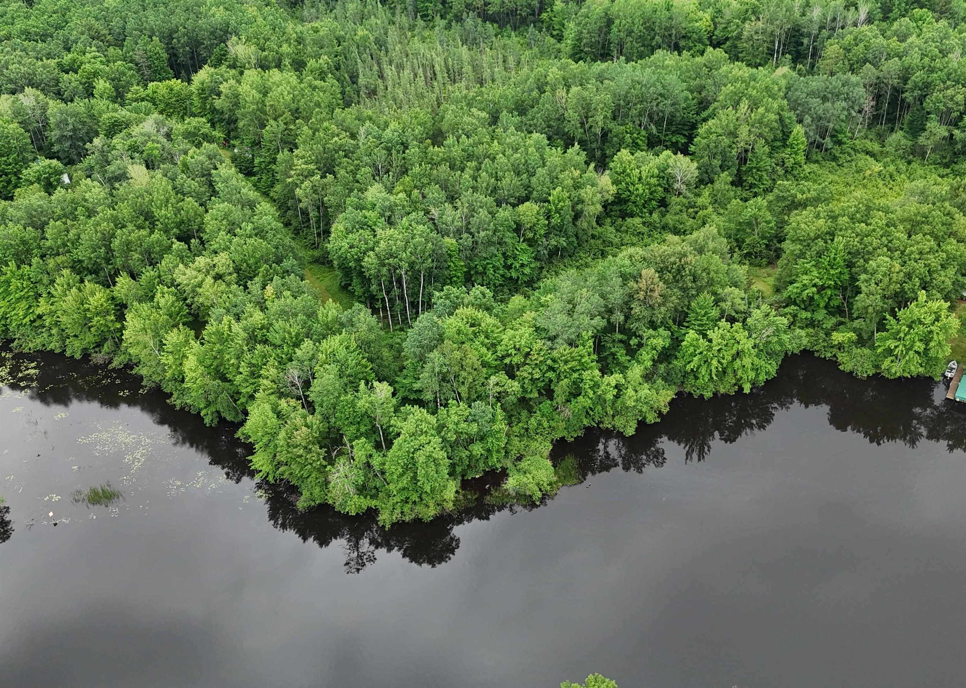 On E SOO LAKE ROAD, Phillips, Wisconsin 54555, ,Land,For Sale,On E SOO LAKE ROAD,22601770