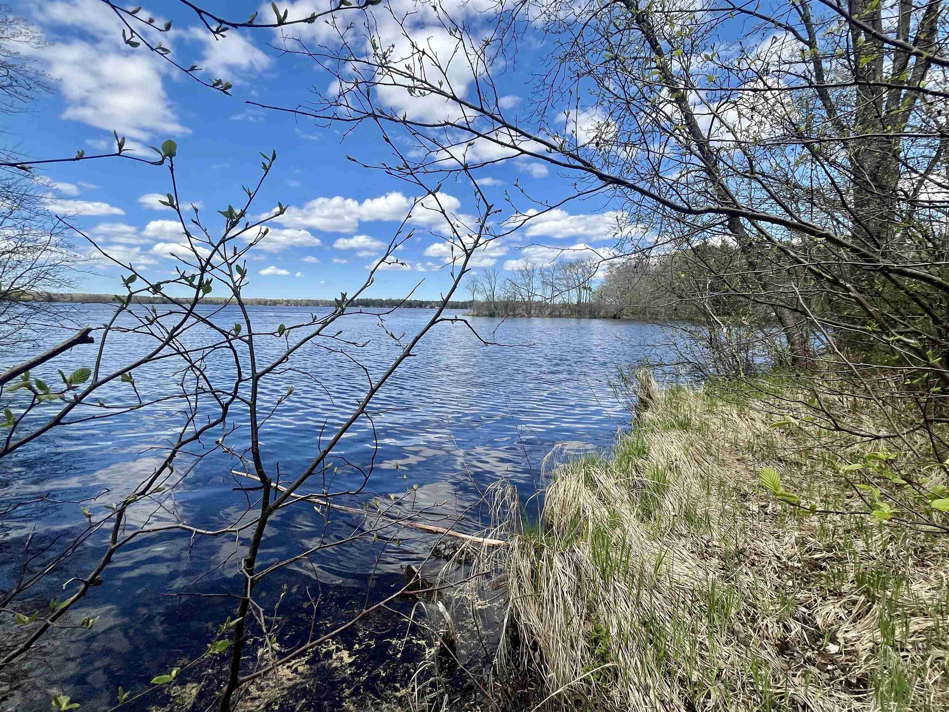On E SOO LAKE ROAD, Phillips, Wisconsin 54555, ,Land,For Sale,On E SOO LAKE ROAD,22601770