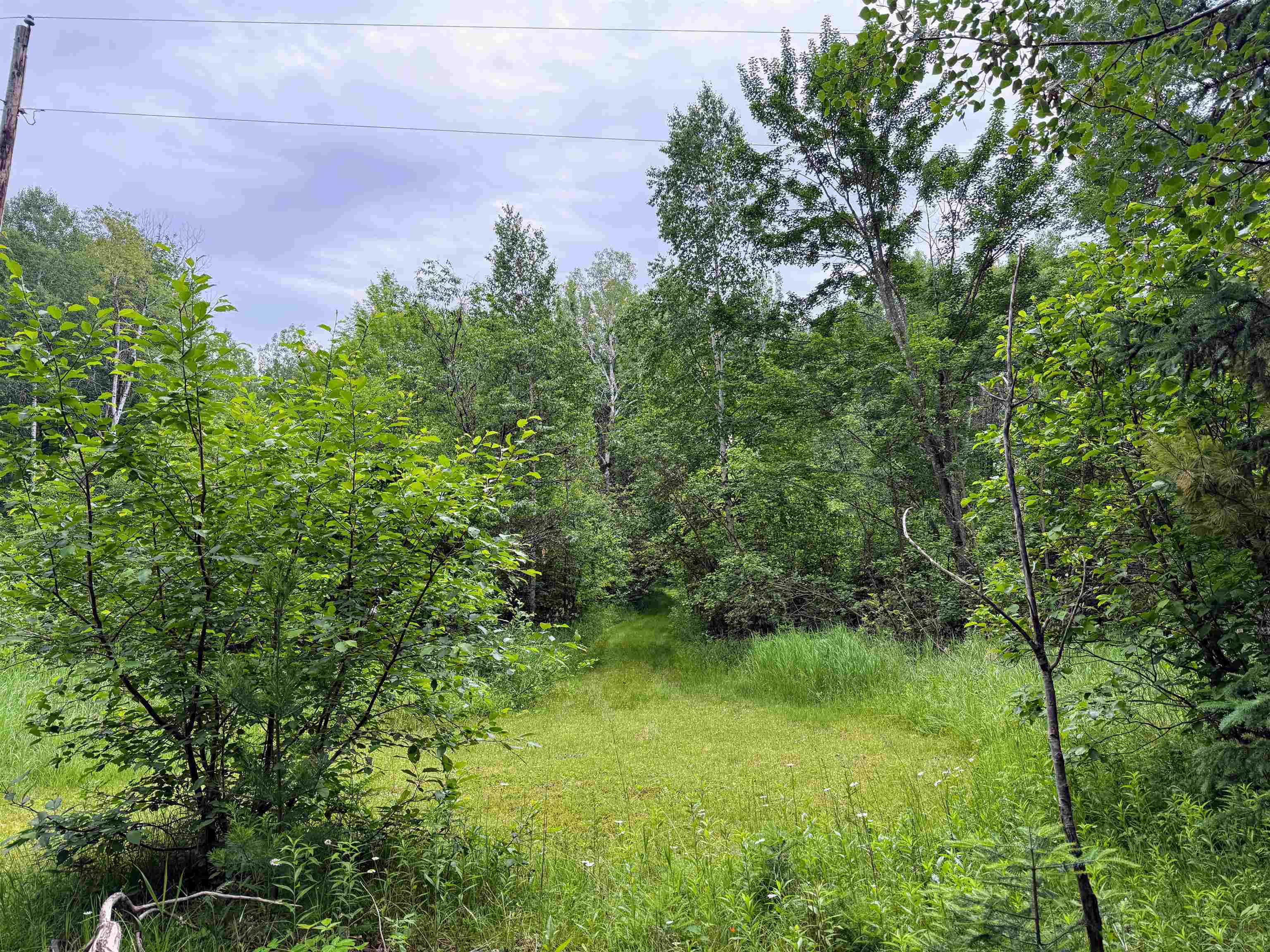 On E SOO LAKE ROAD, Phillips, Wisconsin 54555, ,Land,For Sale,On E SOO LAKE ROAD,22601770