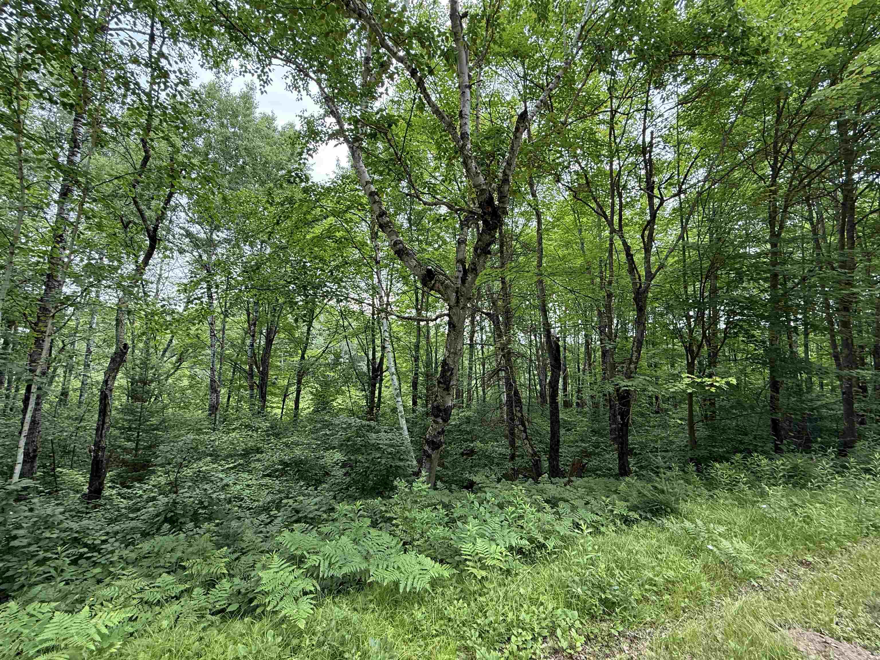 On E SOO LAKE ROAD, Phillips, Wisconsin 54555, ,Land,For Sale,On E SOO LAKE ROAD,22601770