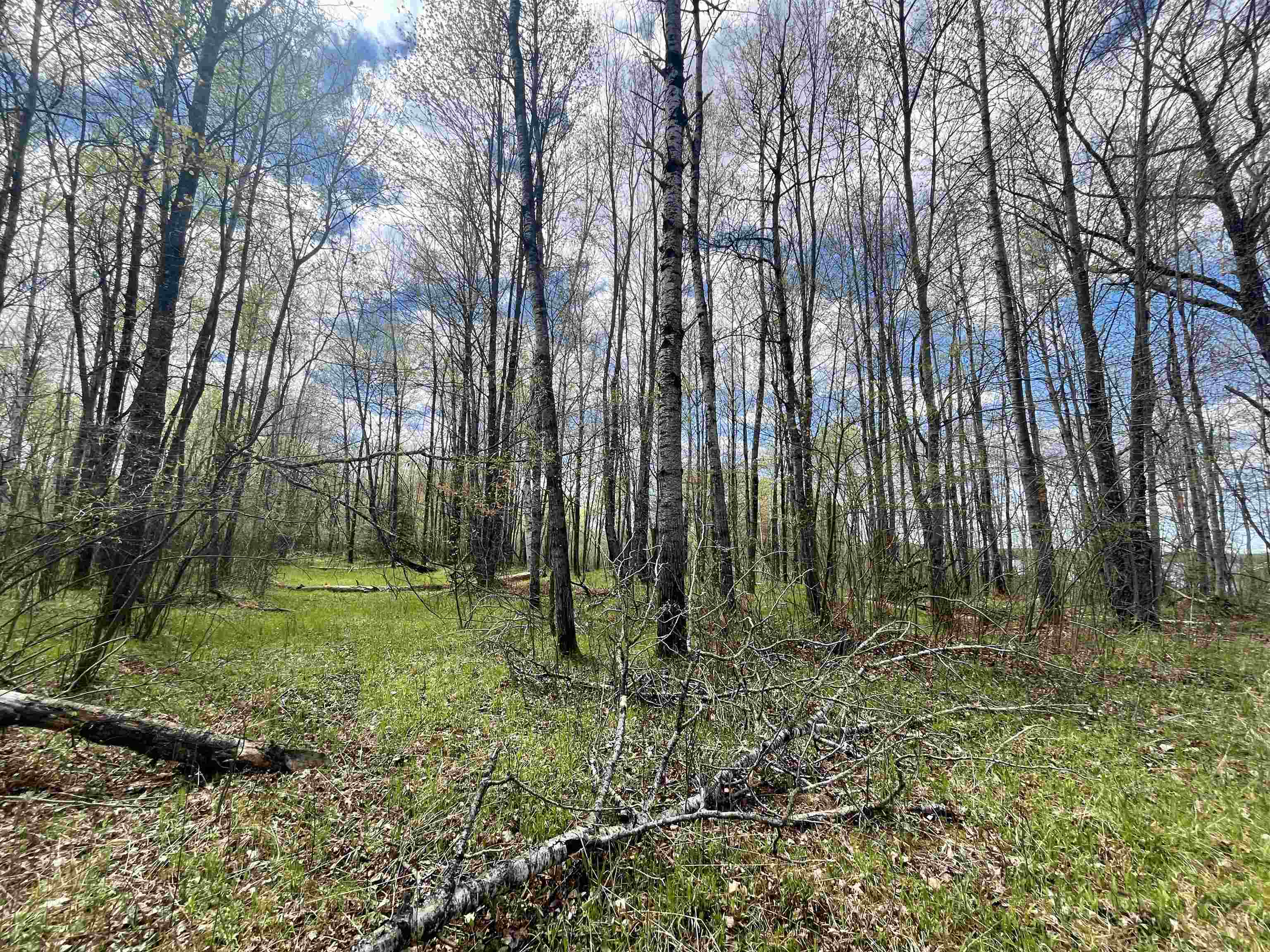 On E SOO LAKE ROAD, Phillips, Wisconsin 54555, ,Land,For Sale,On E SOO LAKE ROAD,22601770