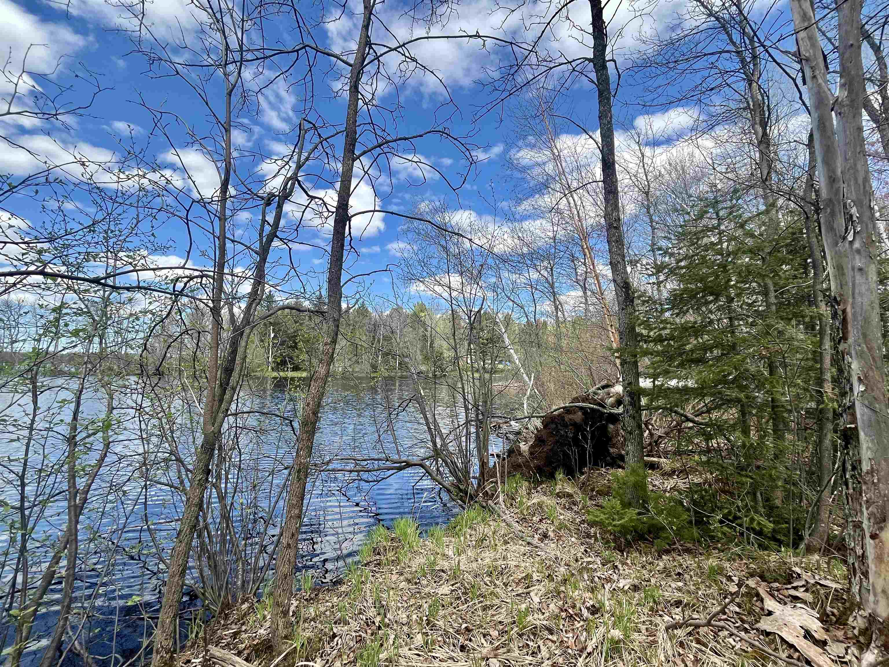 On E SOO LAKE ROAD, Phillips, Wisconsin 54555, ,Land,For Sale,On E SOO LAKE ROAD,22601770