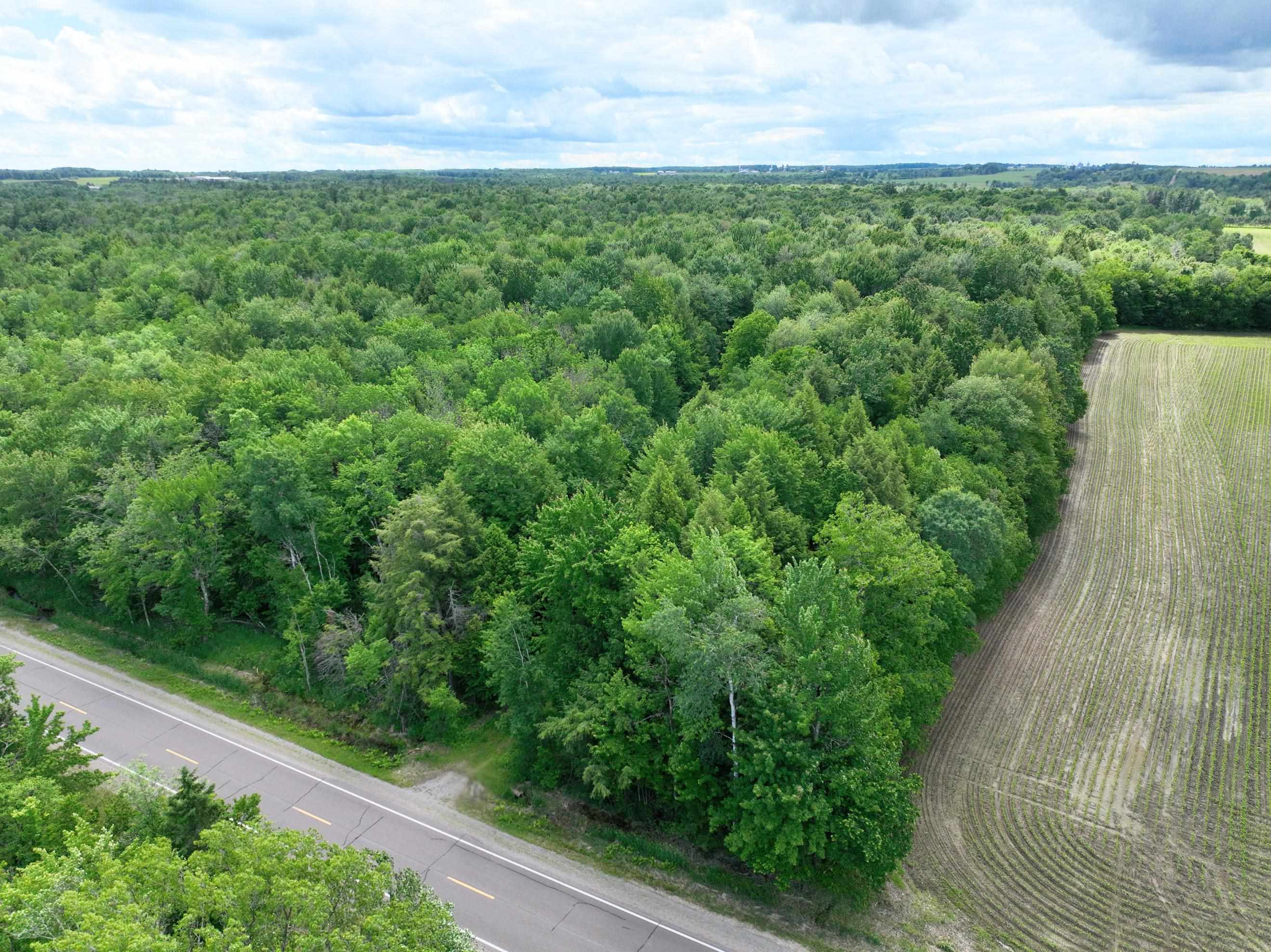 118.88 Acres on COUNTY ROAD O, Marathon, Wisconsin 54448, ,Land,For Sale,118.88 Acres on COUNTY ROAD O,22601771