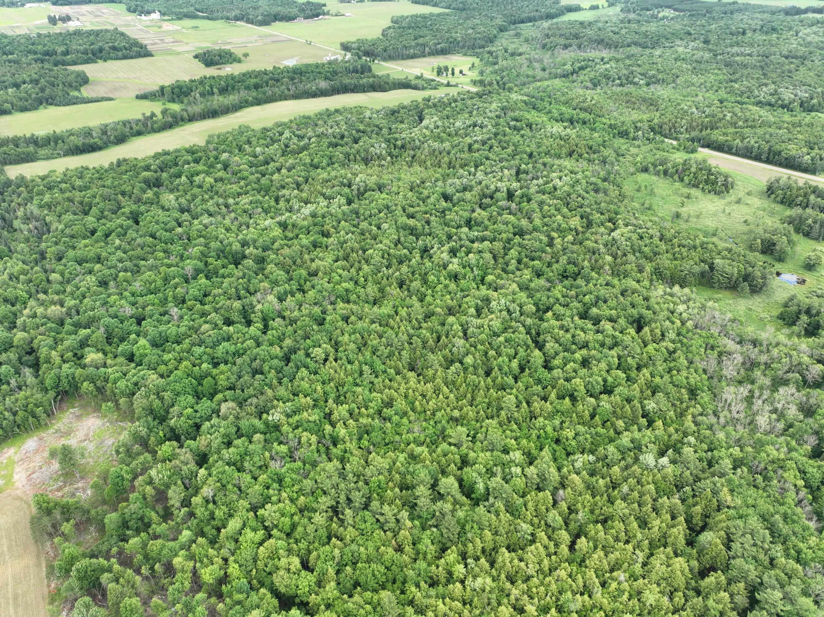 118.88 Acres on COUNTY ROAD O, Marathon, Wisconsin 54448, ,Land,For Sale,118.88 Acres on COUNTY ROAD O,22601771