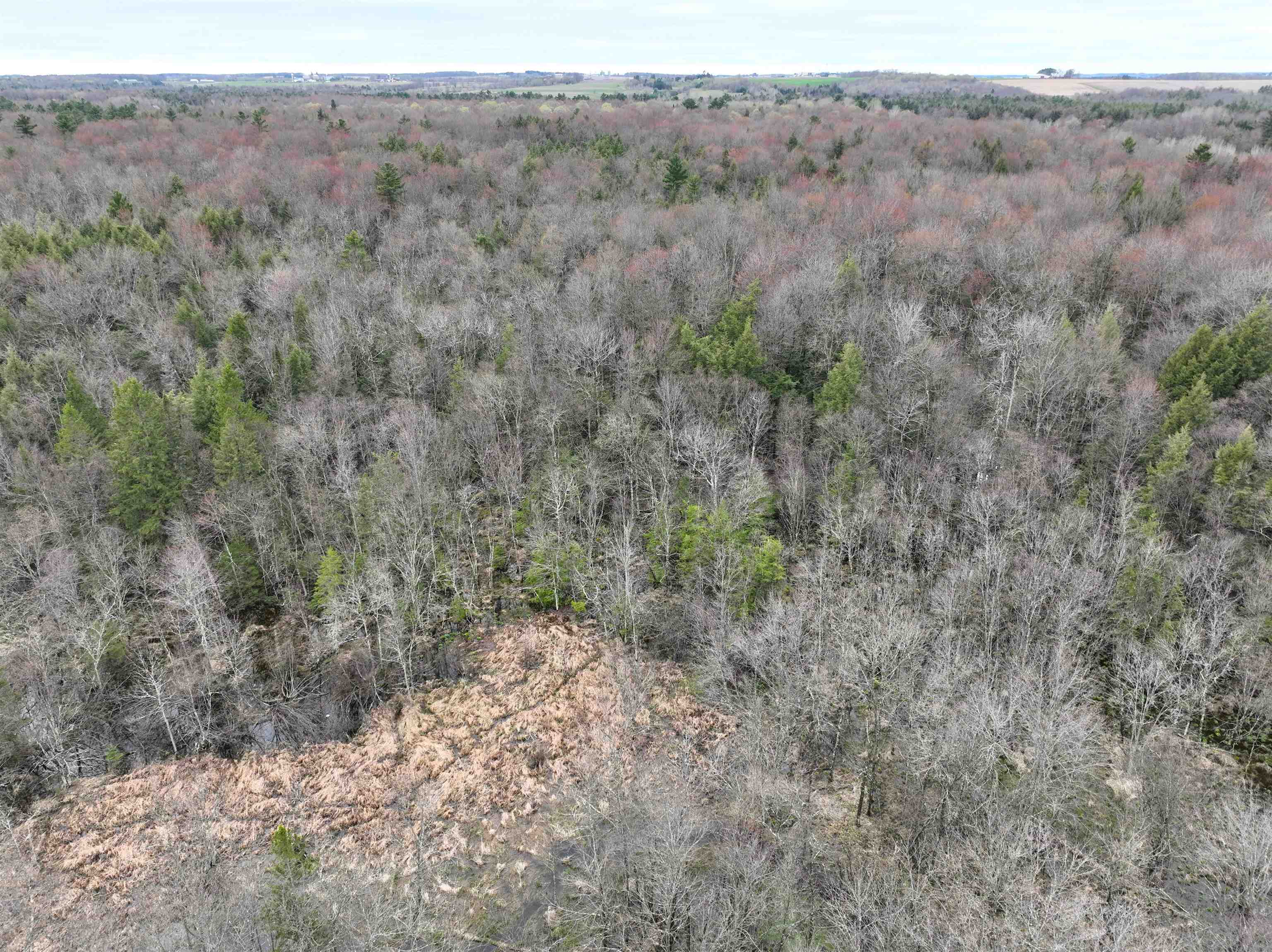 118.88 Acres on COUNTY ROAD O, Marathon, Wisconsin 54448, ,Land,For Sale,118.88 Acres on COUNTY ROAD O,22601771