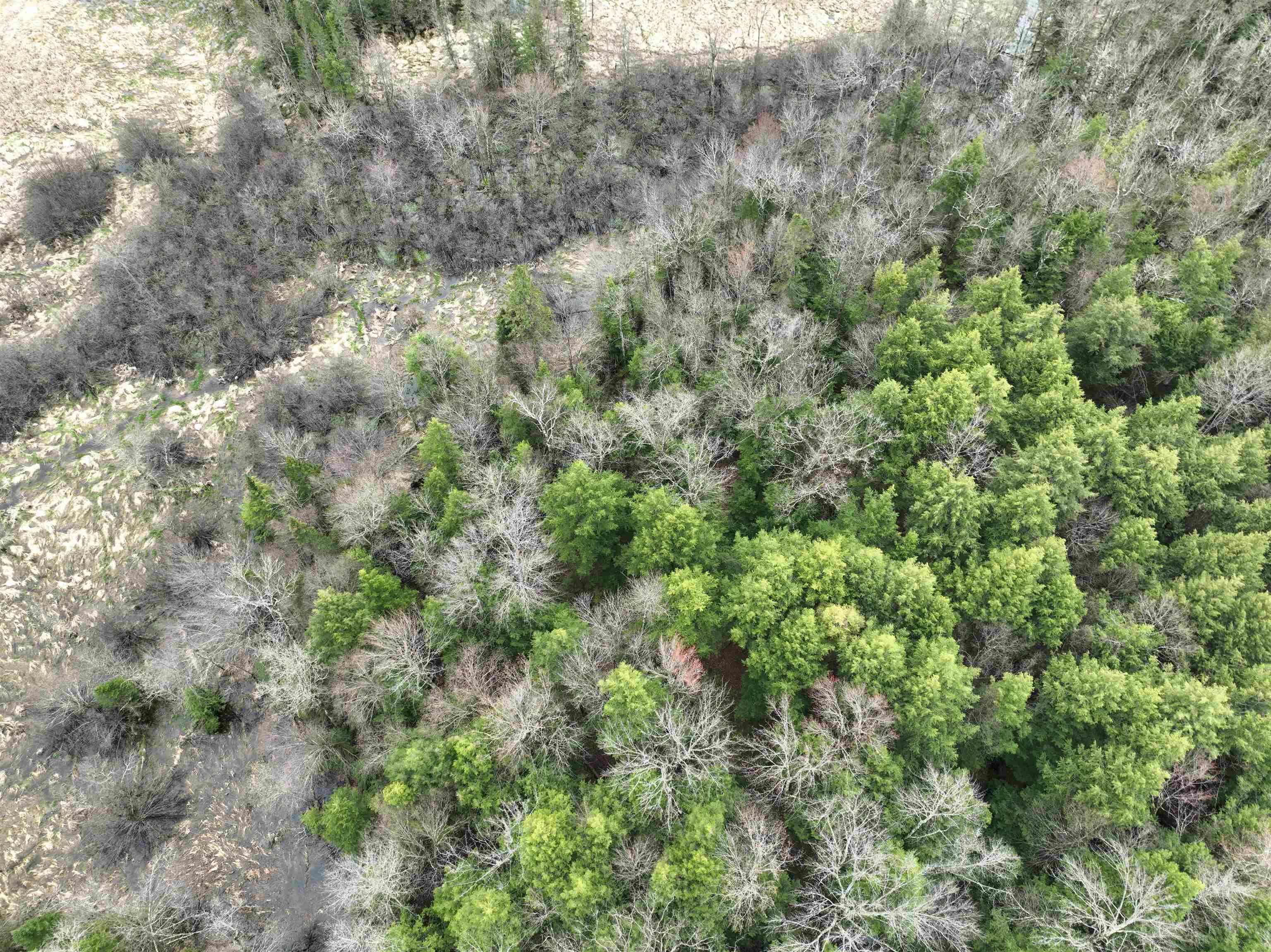 118.88 Acres on COUNTY ROAD O, Marathon, Wisconsin 54448, ,Land,For Sale,118.88 Acres on COUNTY ROAD O,22601771