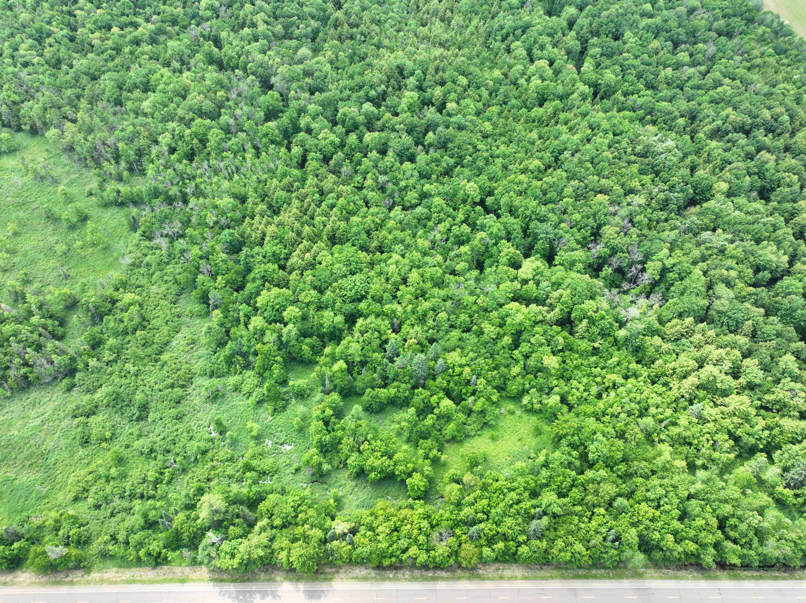 118.88 Acres on COUNTY ROAD O, Marathon, Wisconsin 54448, ,Land,For Sale,118.88 Acres on COUNTY ROAD O,22601771