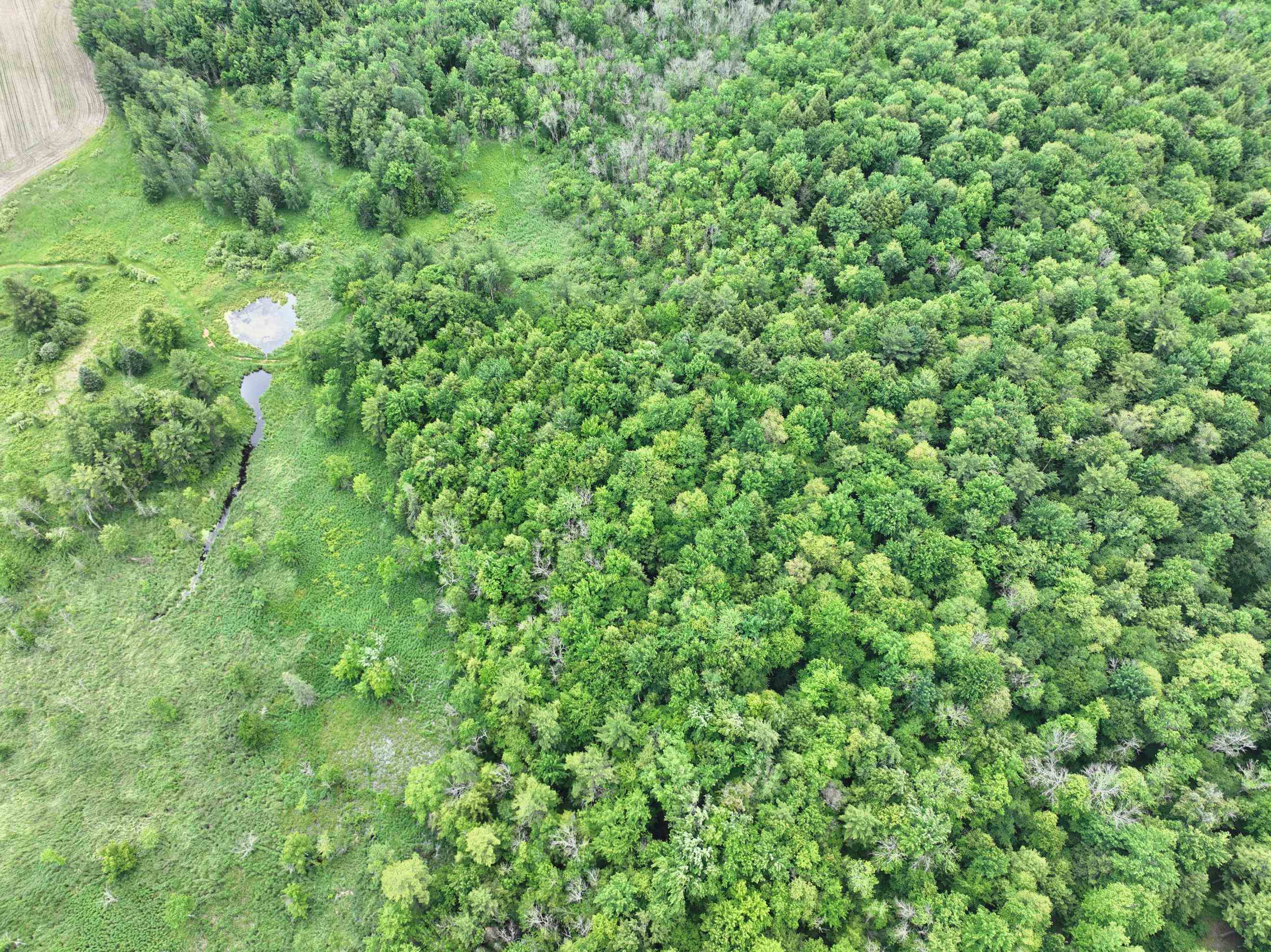 118.88 Acres on COUNTY ROAD O, Marathon, Wisconsin 54448, ,Land,For Sale,118.88 Acres on COUNTY ROAD O,22601771