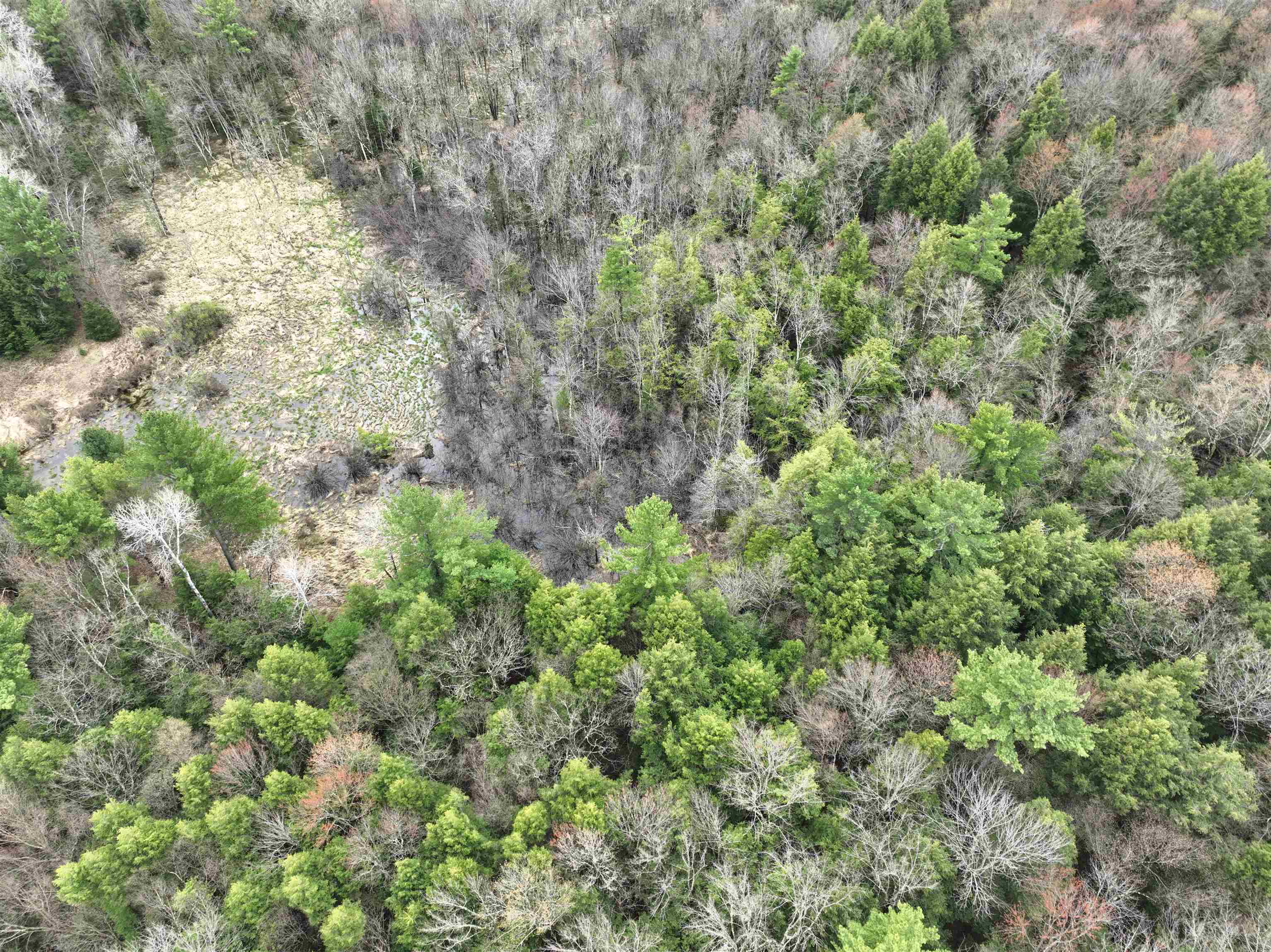 118.88 Acres on COUNTY ROAD O, Marathon, Wisconsin 54448, ,Land,For Sale,118.88 Acres on COUNTY ROAD O,22601771