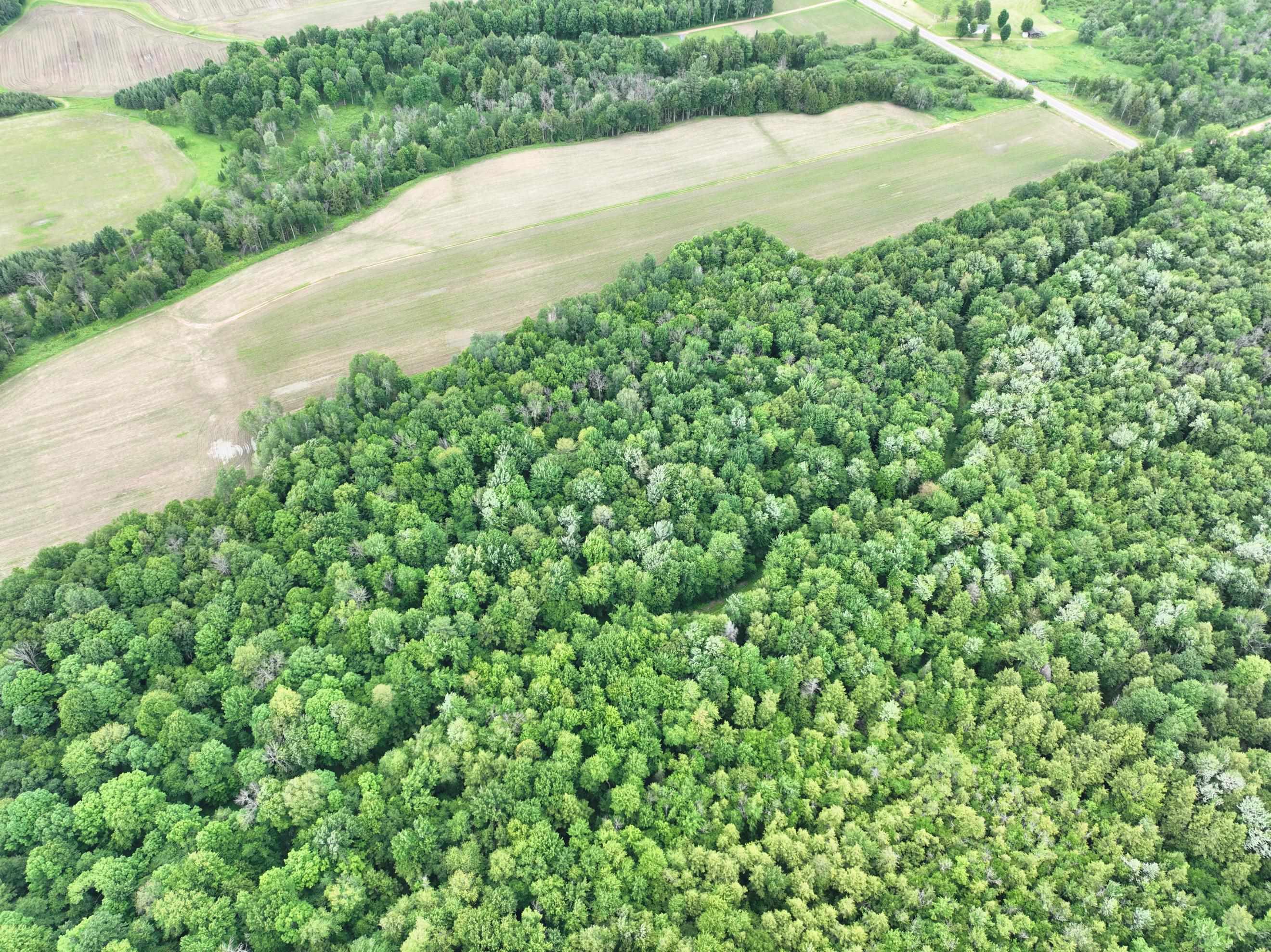 118.88 Acres on COUNTY ROAD O, Marathon, Wisconsin 54448, ,Land,For Sale,118.88 Acres on COUNTY ROAD O,22601771