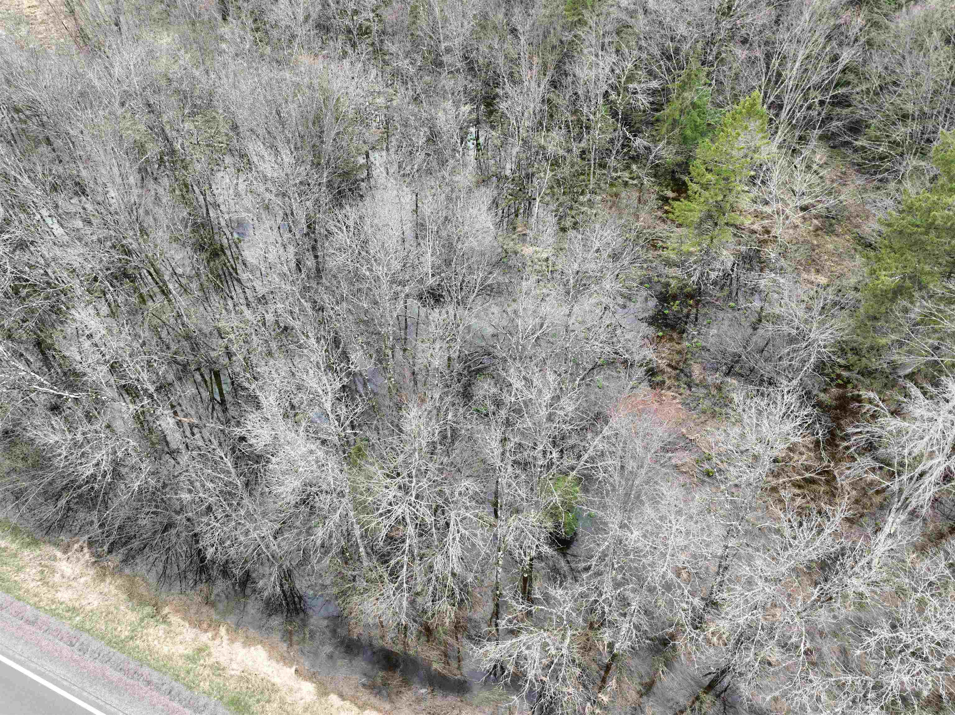 118.88 Acres on COUNTY ROAD O, Marathon, Wisconsin 54448, ,Land,For Sale,118.88 Acres on COUNTY ROAD O,22601771
