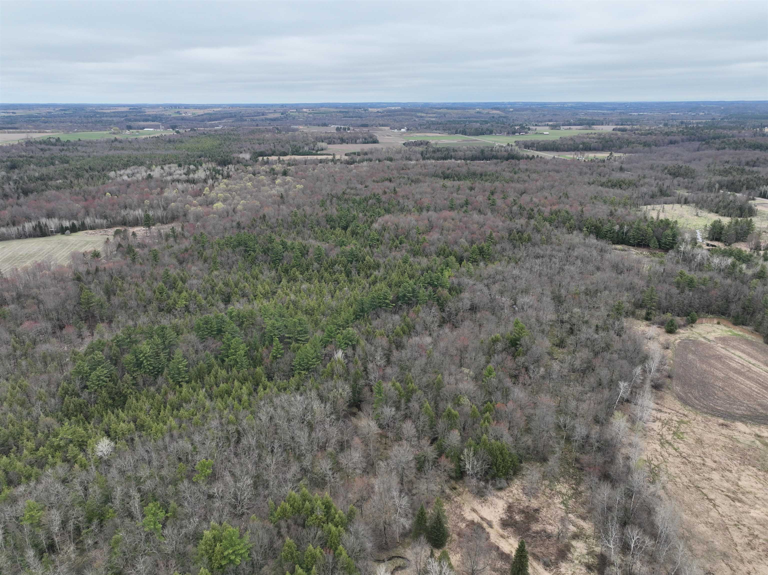 118.88 Acres on COUNTY ROAD O, Marathon, Wisconsin 54448, ,Land,For Sale,118.88 Acres on COUNTY ROAD O,22601771