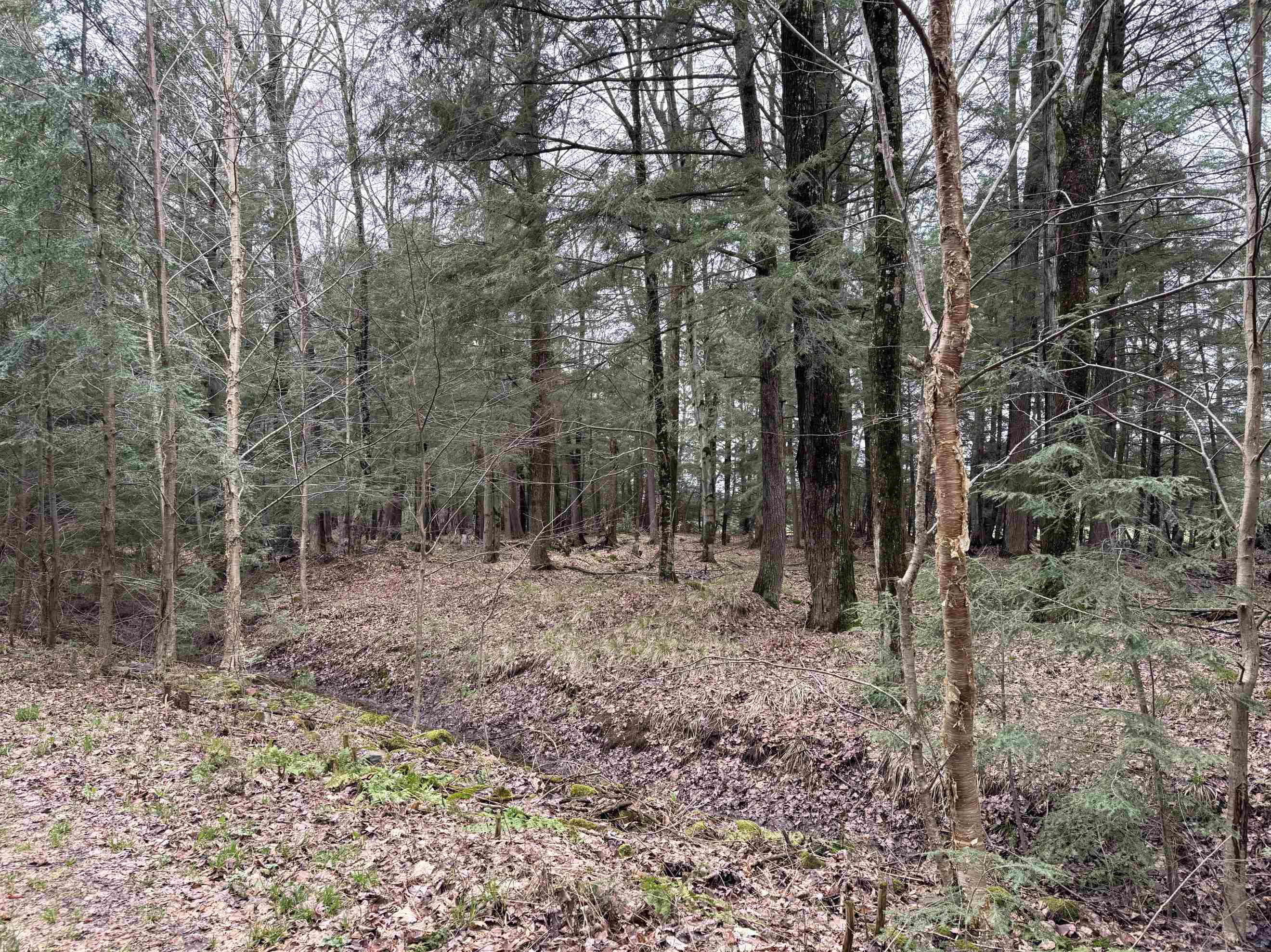 118.88 Acres on COUNTY ROAD O, Marathon, Wisconsin 54448, ,Land,For Sale,118.88 Acres on COUNTY ROAD O,22601771