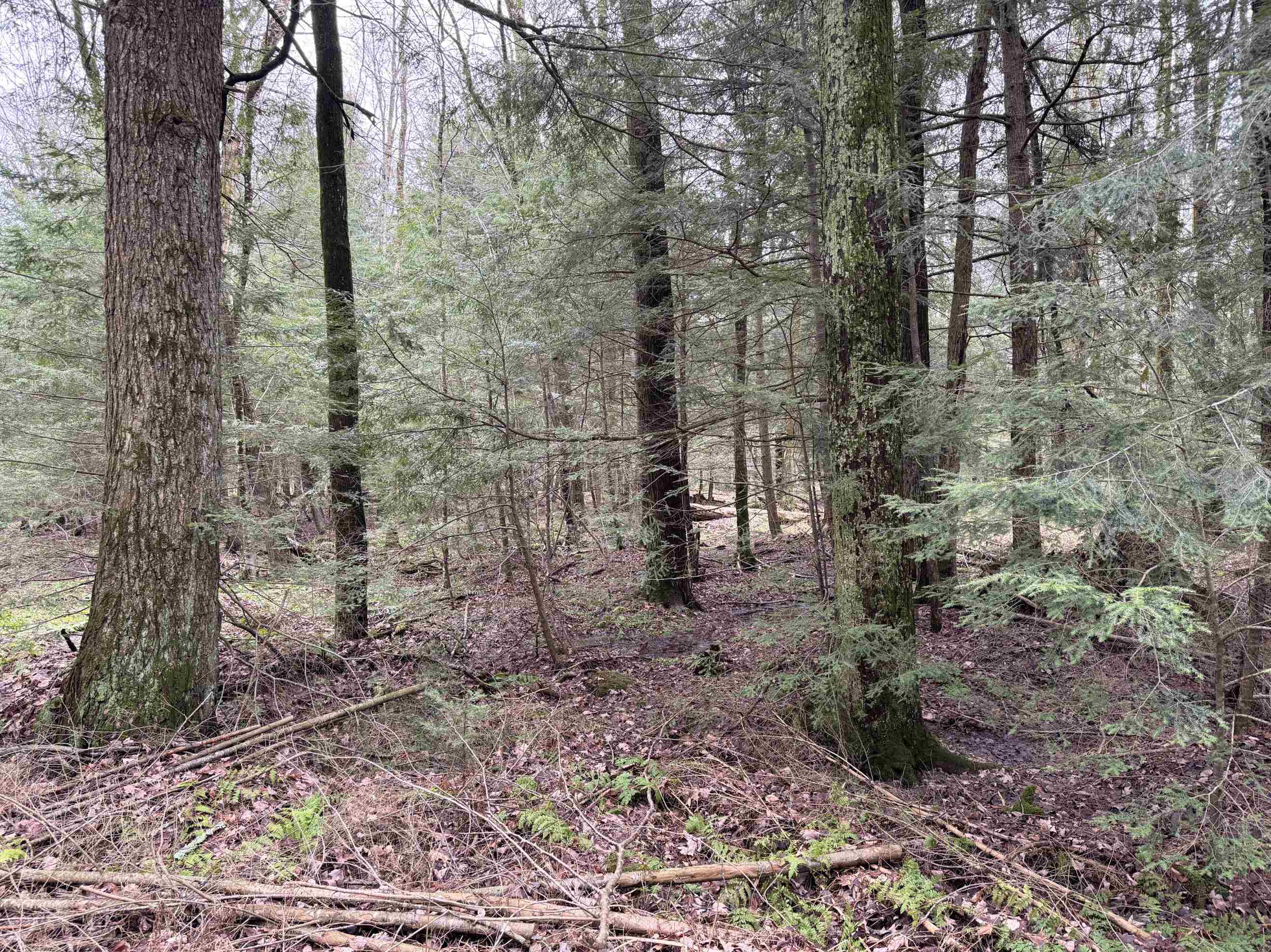 118.88 Acres on COUNTY ROAD O, Marathon, Wisconsin 54448, ,Land,For Sale,118.88 Acres on COUNTY ROAD O,22601771