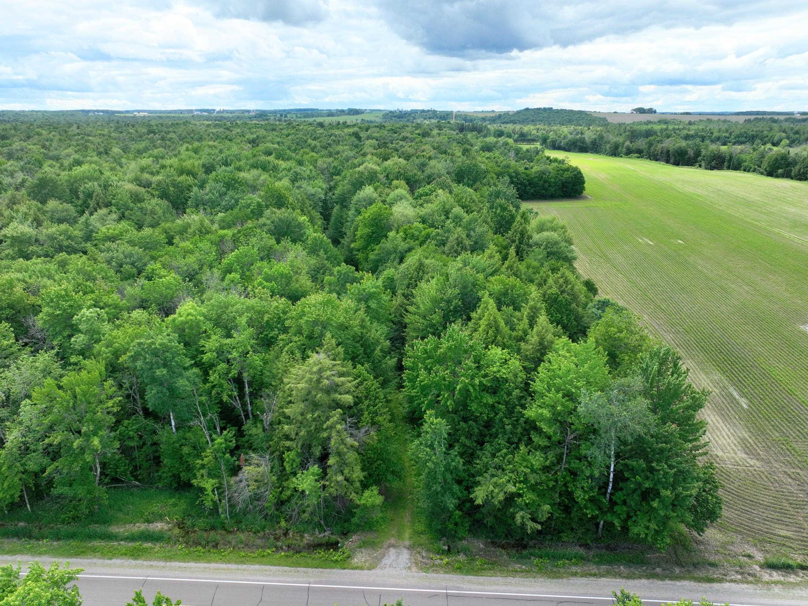 118.88 Acres on COUNTY ROAD O, Marathon, Wisconsin 54448, ,Land,For Sale,118.88 Acres on COUNTY ROAD O,22601771