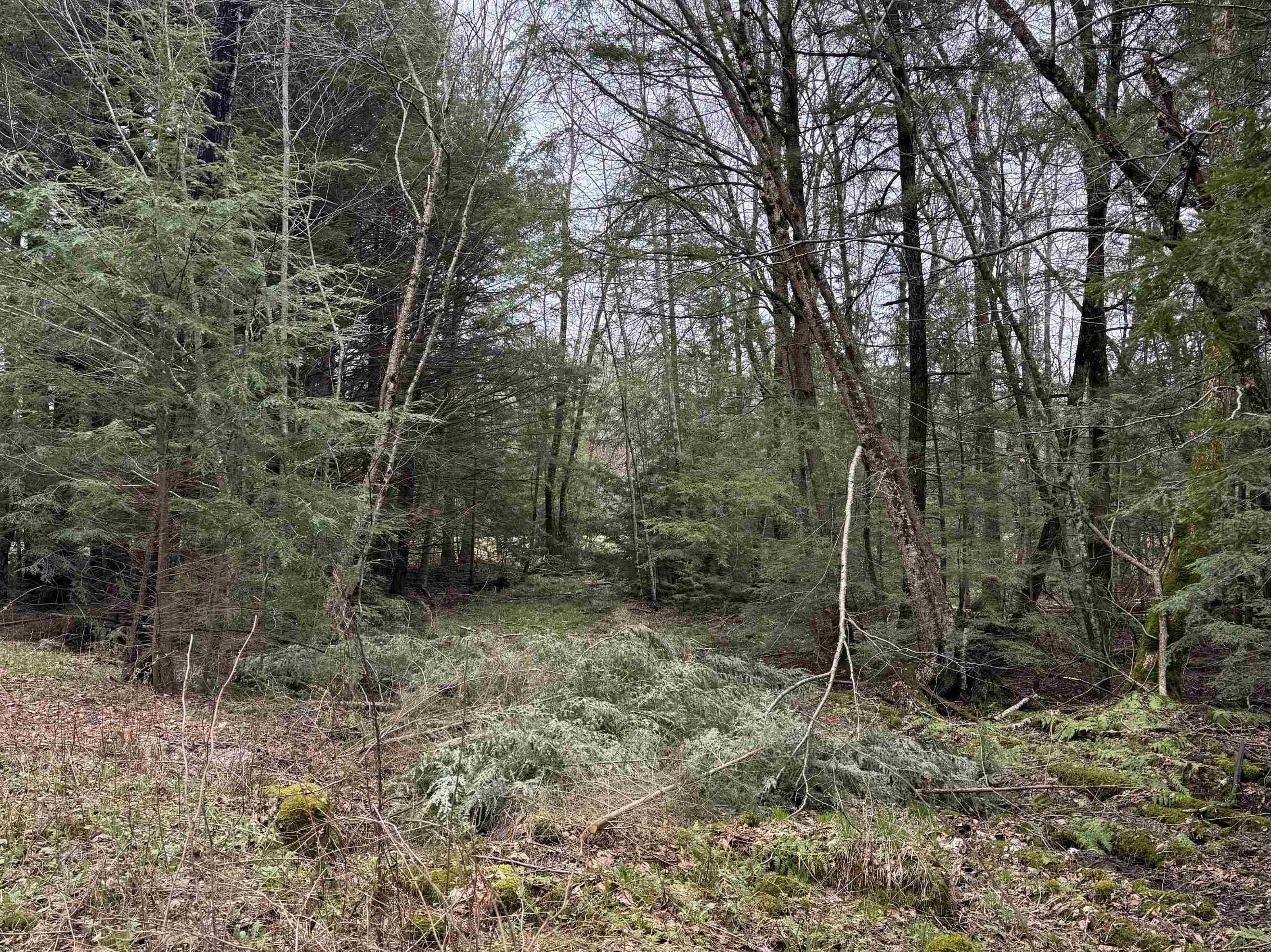 118.88 Acres on COUNTY ROAD O, Marathon, Wisconsin 54448, ,Land,For Sale,118.88 Acres on COUNTY ROAD O,22601771
