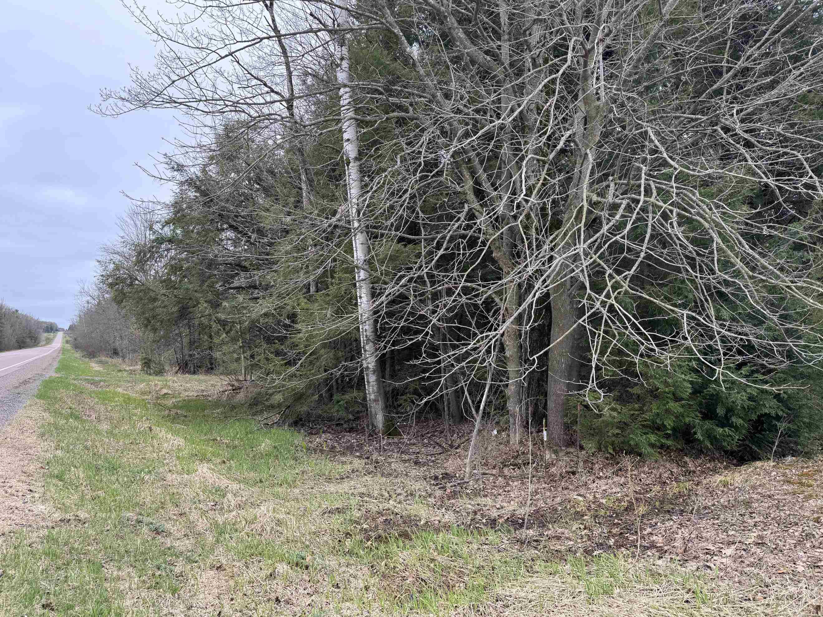 118.88 Acres on COUNTY ROAD O, Marathon, Wisconsin 54448, ,Land,For Sale,118.88 Acres on COUNTY ROAD O,22601771
