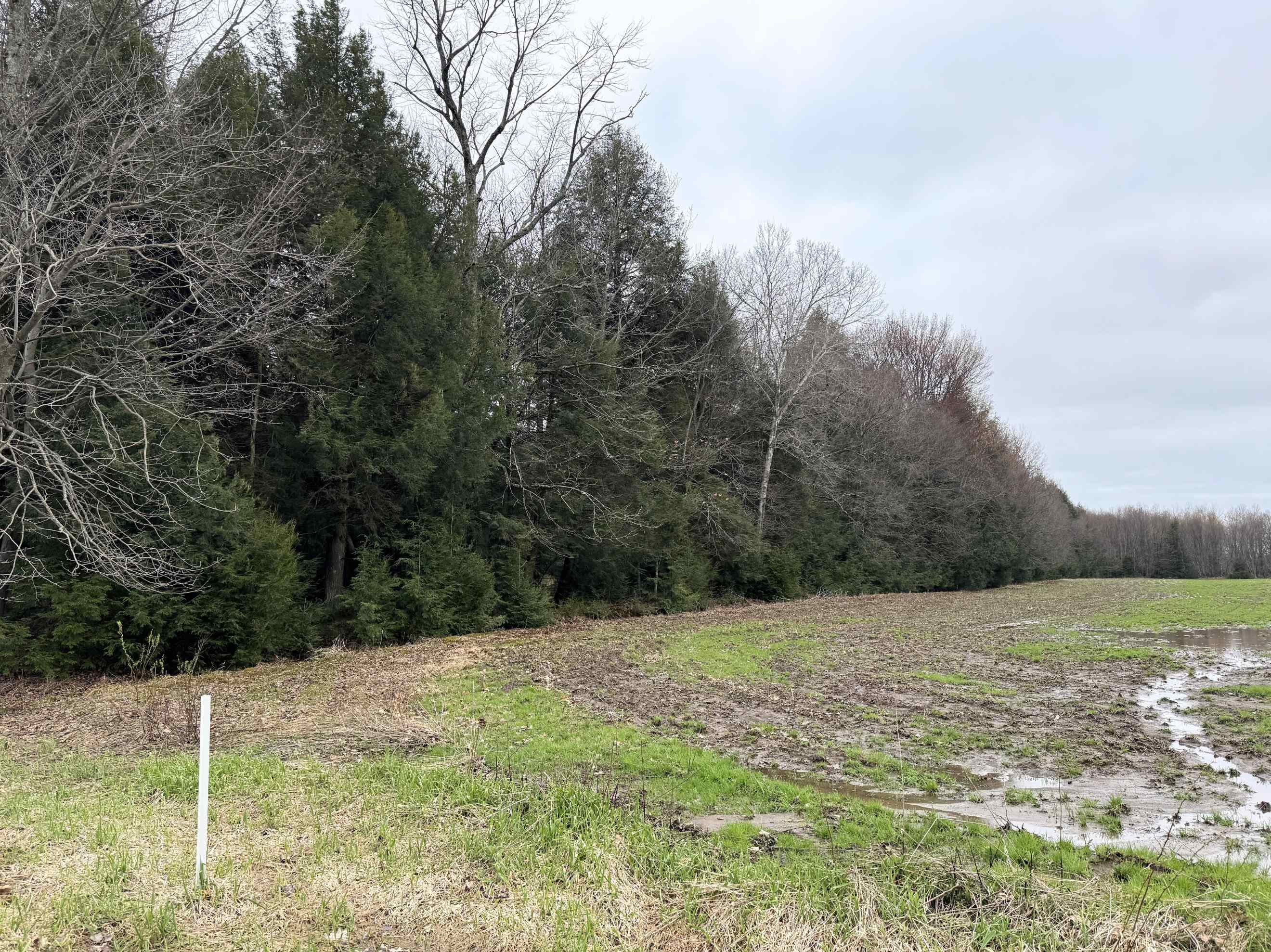118.88 Acres on COUNTY ROAD O, Marathon, Wisconsin 54448, ,Land,For Sale,118.88 Acres on COUNTY ROAD O,22601771