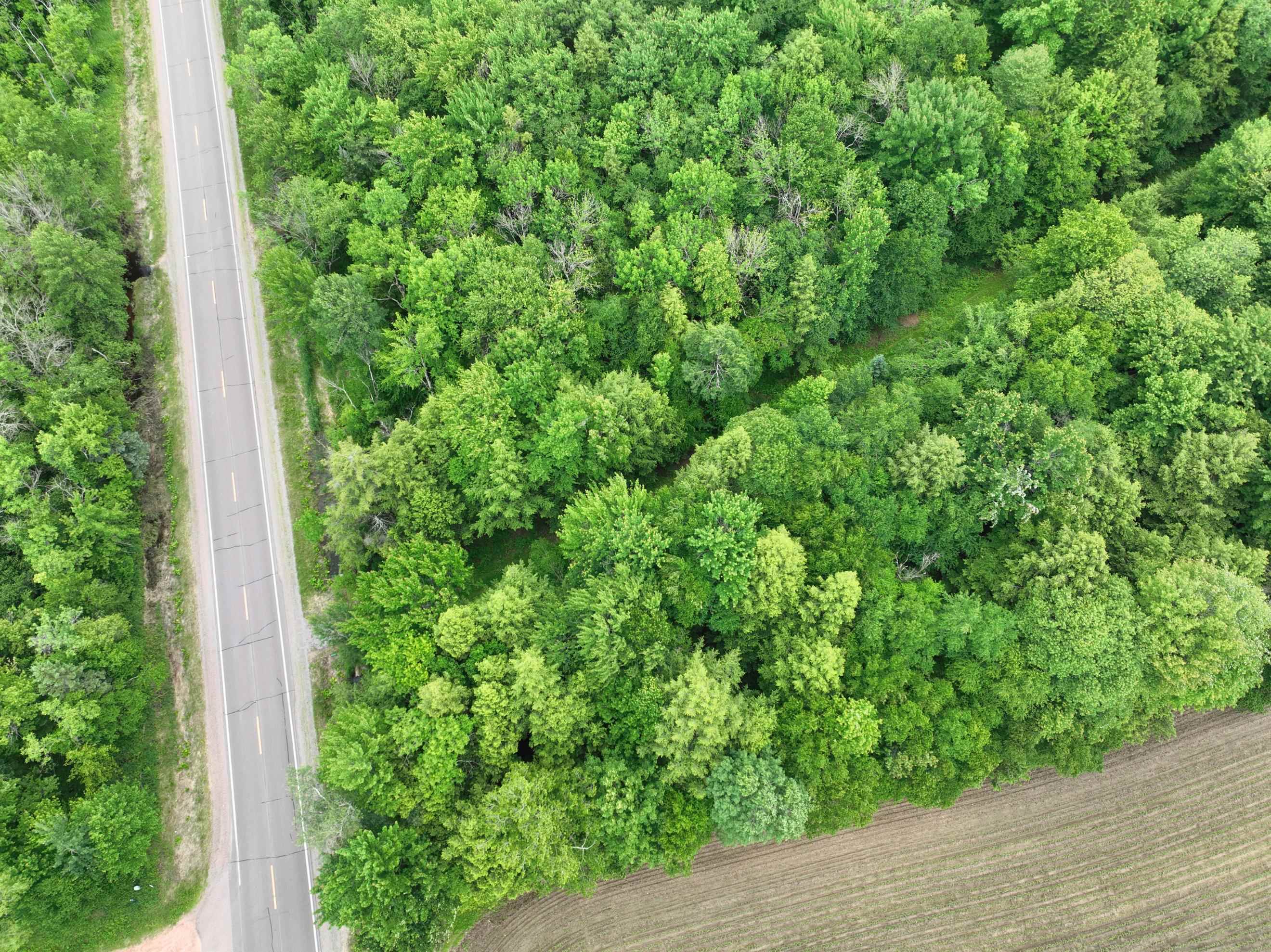 118.88 Acres on COUNTY ROAD O, Marathon, Wisconsin 54448, ,Land,For Sale,118.88 Acres on COUNTY ROAD O,22601771